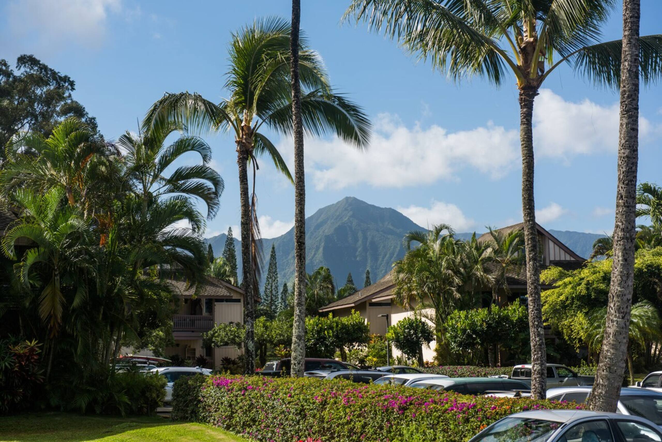 Bright Princeville Studio - Pool 209B - Photo 11
