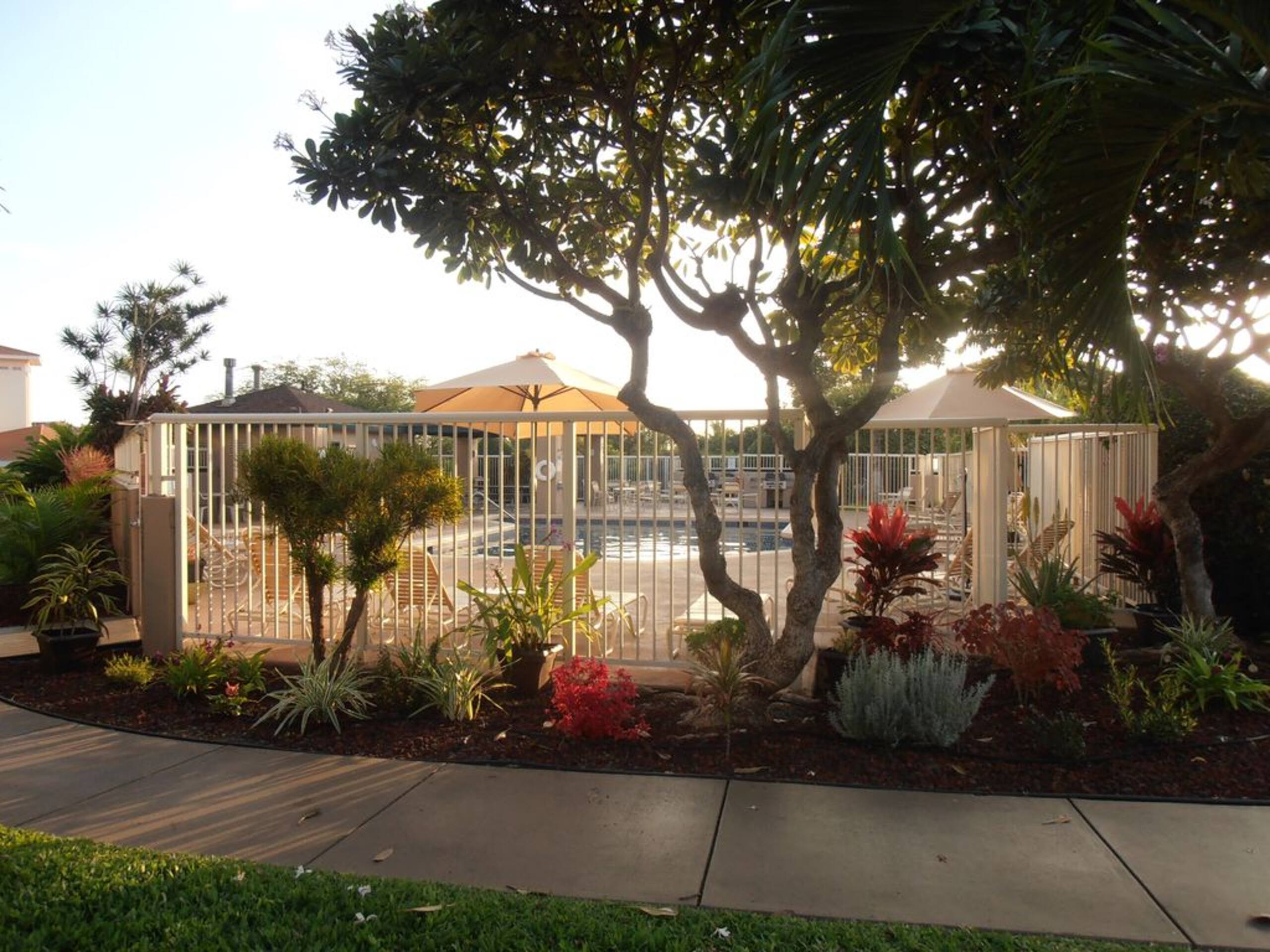 3bd 3bth FULL AC Hot Tub Pool Kamaole Beach Condo - Photo 11