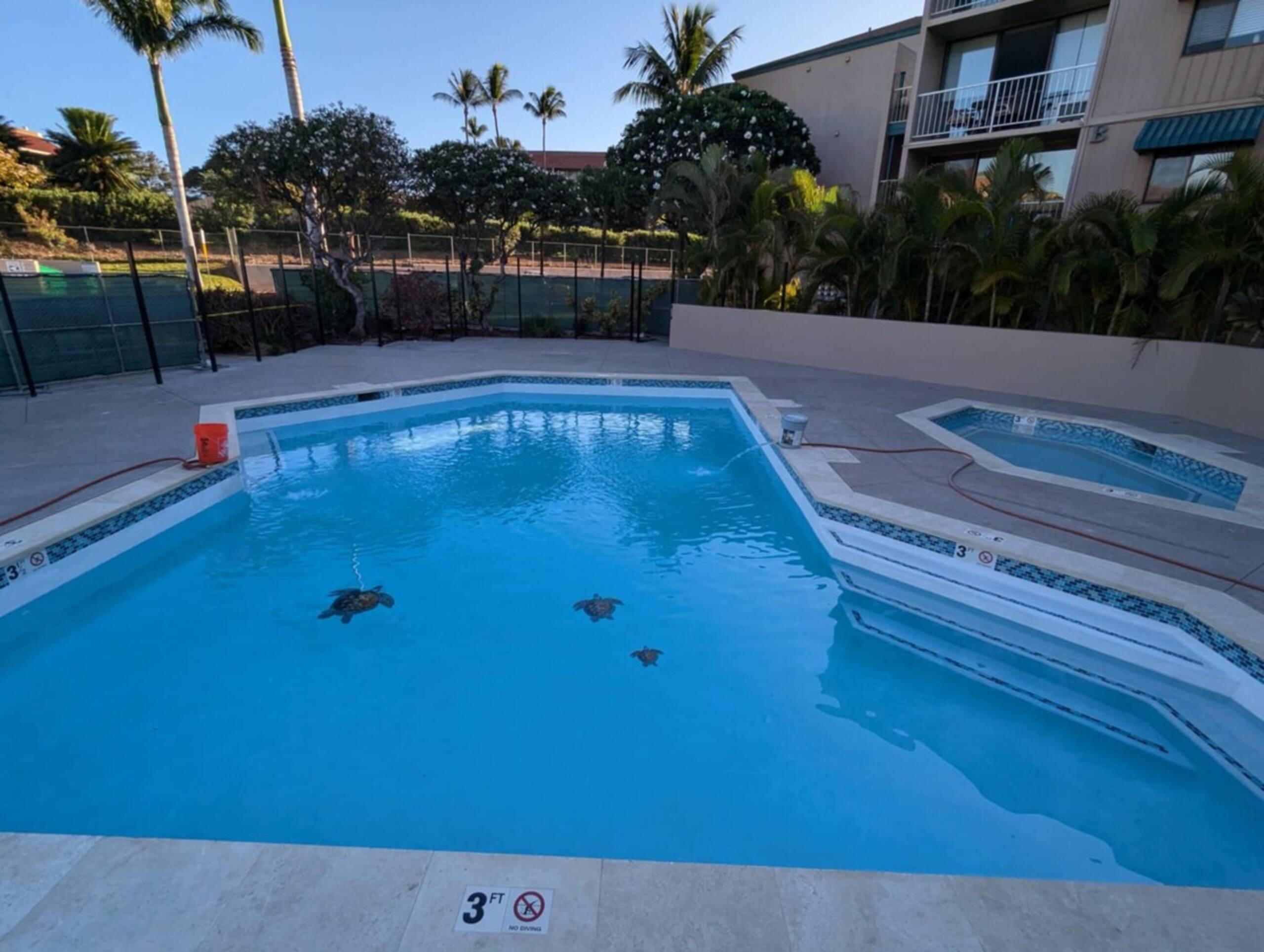3bd 3bth FULL AC Hot Tub Pool Kamaole Beach Condo - Photo 7