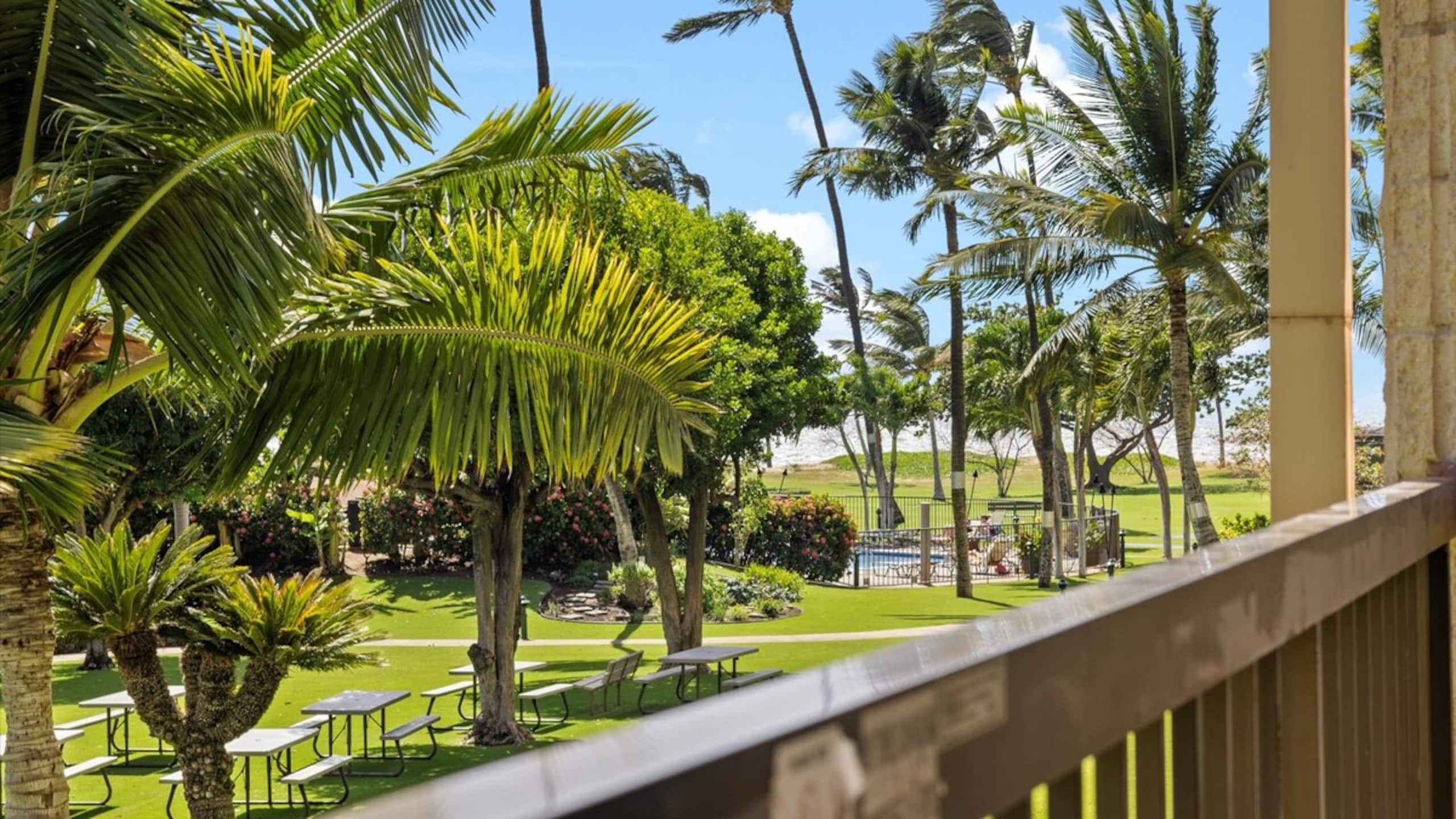 Beachfront sunset, 2 baths, AC, hot tub - Photo 35