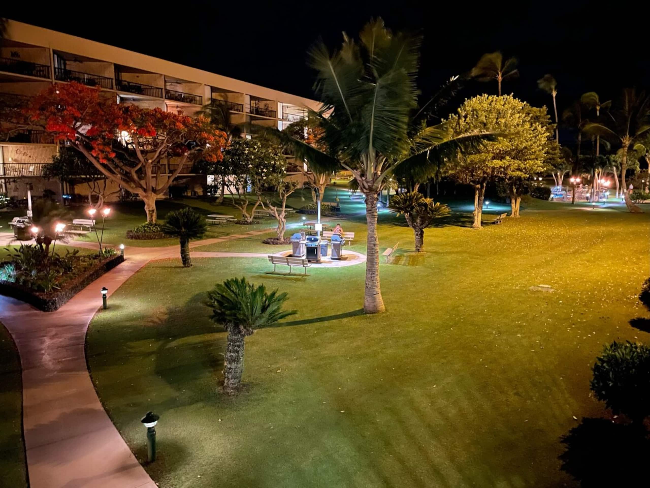 Beachfront sunset, 2 baths, AC, hot tub - Photo 29
