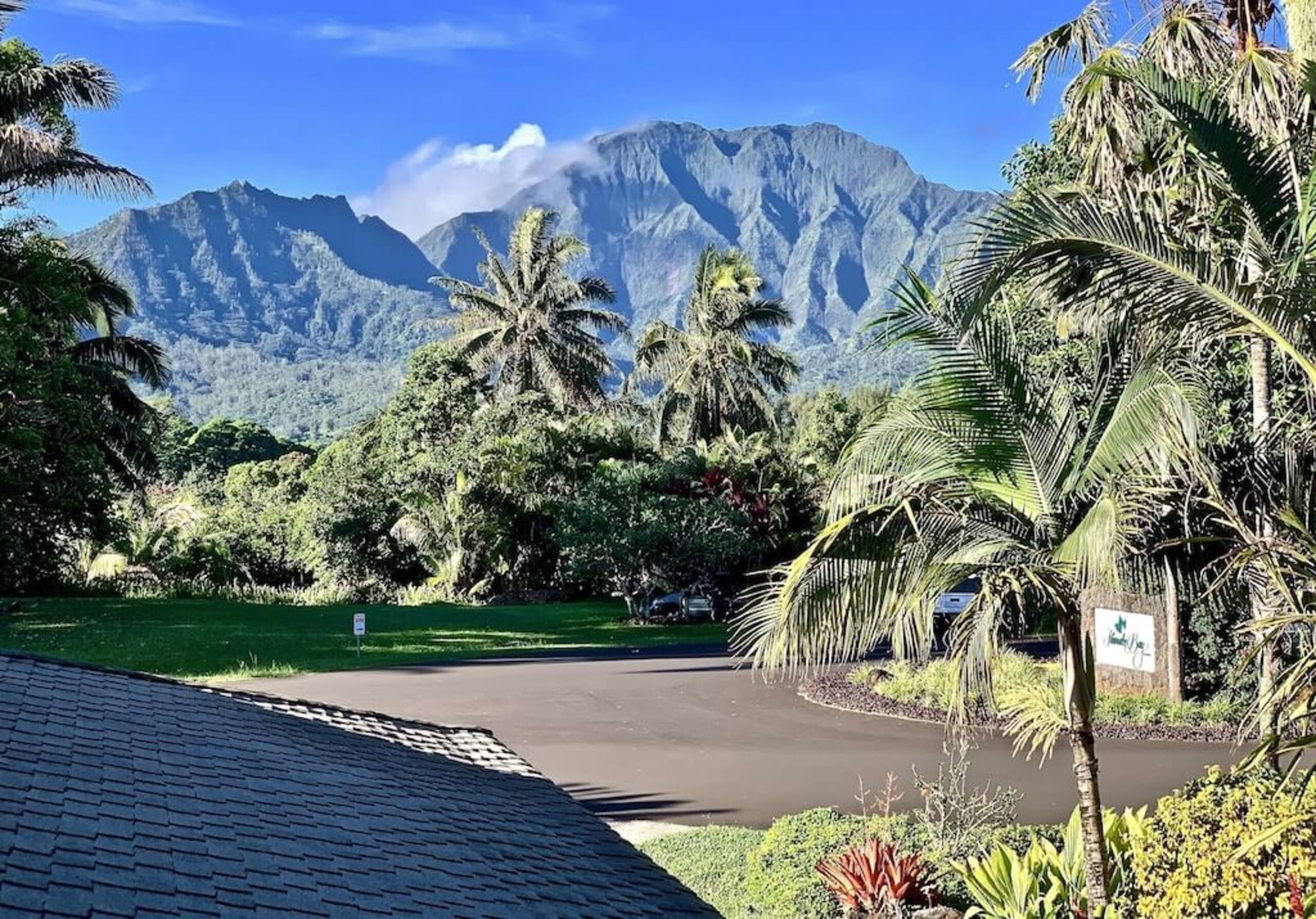 Sunlit Luxe Home Ocean Vista + Sunsets + Full AC - Photo 32