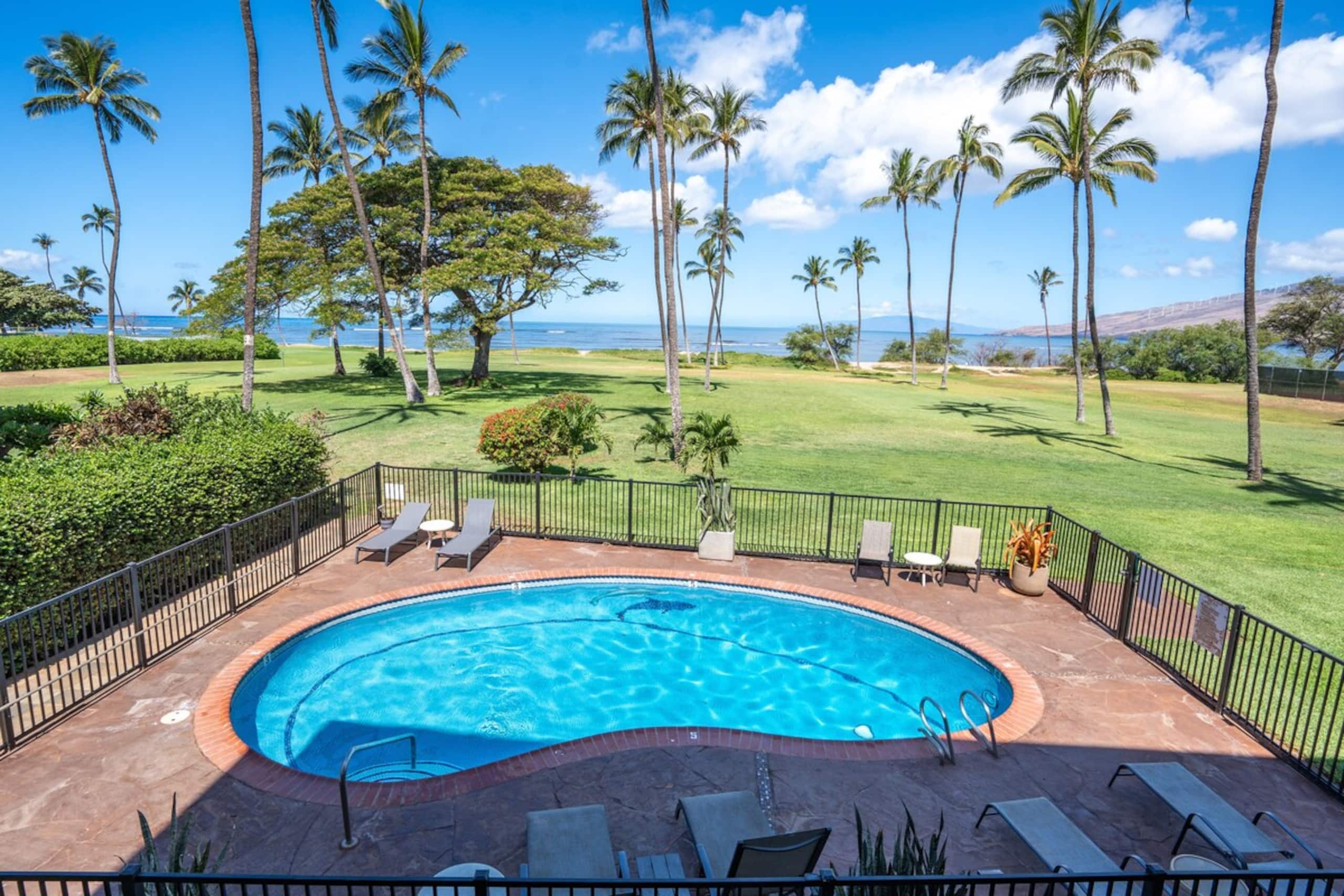 Panoramic Ocean View Full AC, Kitchen, WiFi LEI200 - Photo 39