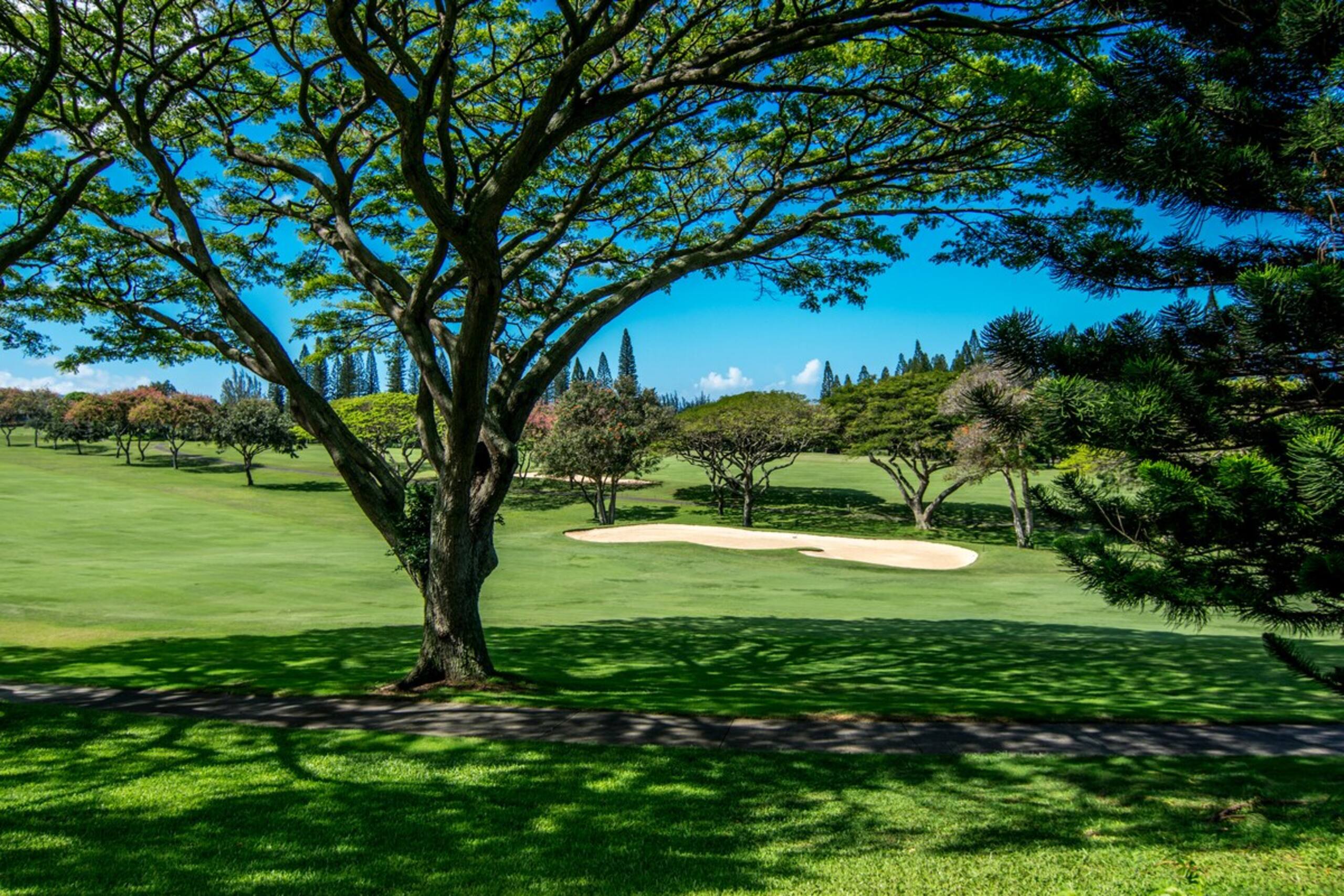 Luxury Kapalua Golf Villa 14P1-2 w/ Golf Views - Photo 35