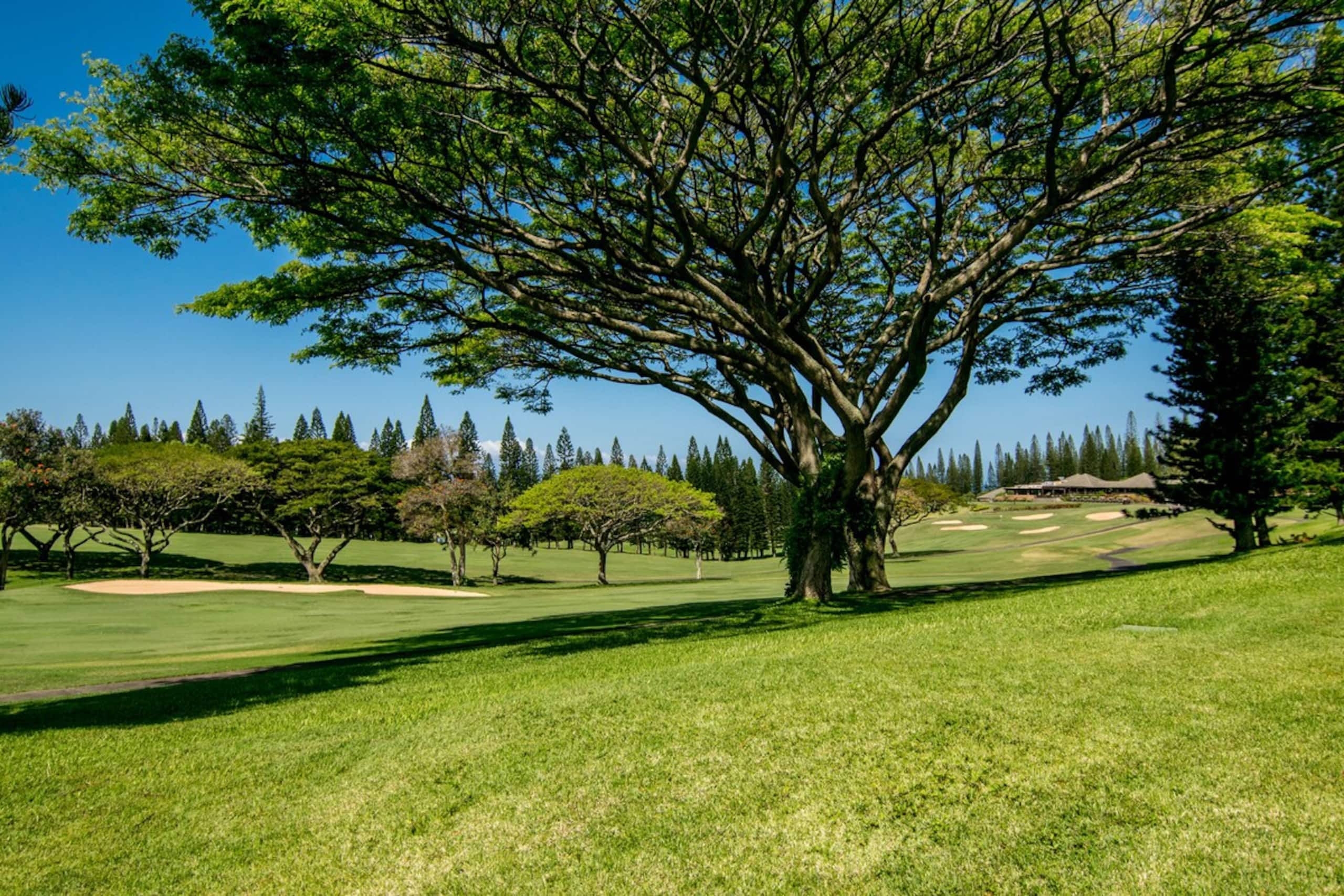 Luxury Kapalua Golf Villa 14P1-2 w/ Golf Views - Photo 36