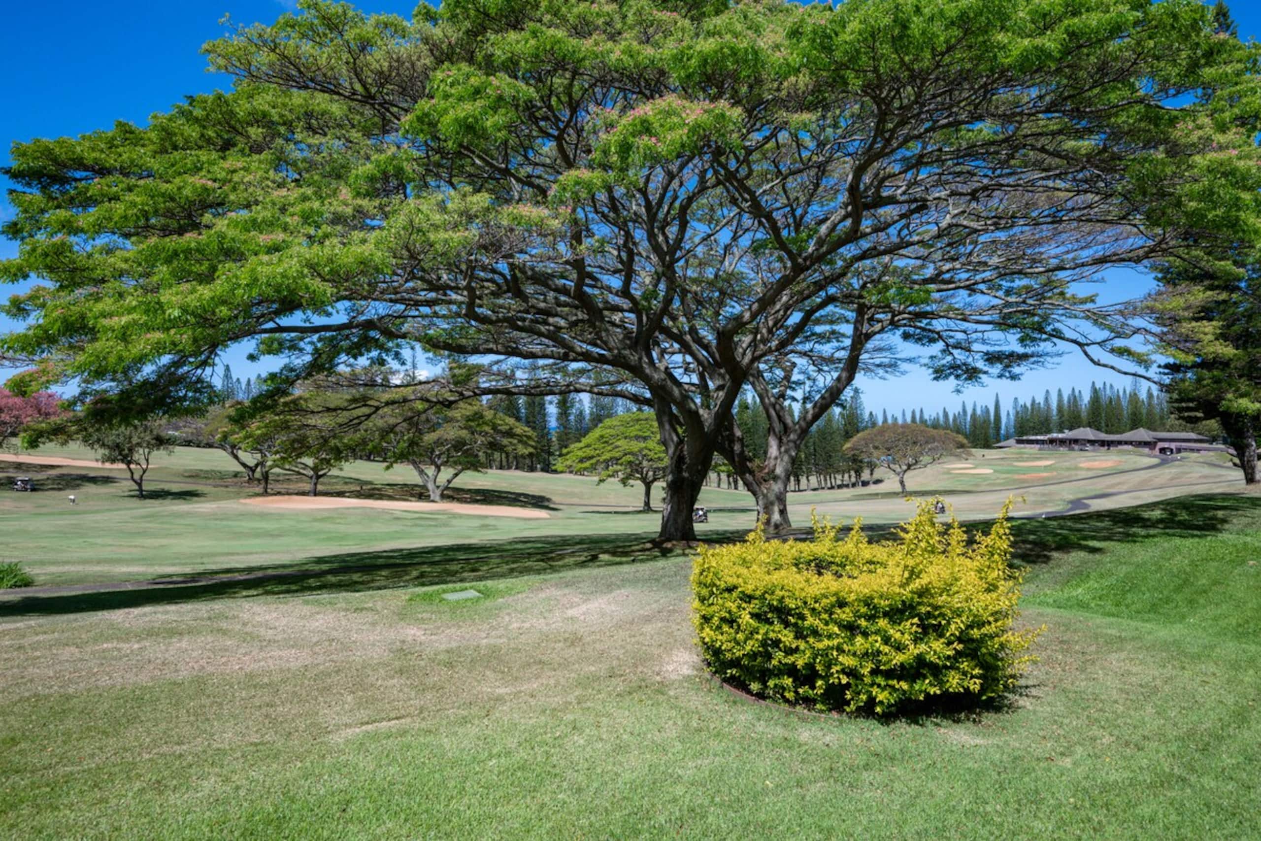 Luxury Kapalua Golf Villa 14P1-2 w/ Golf Views - Photo 37