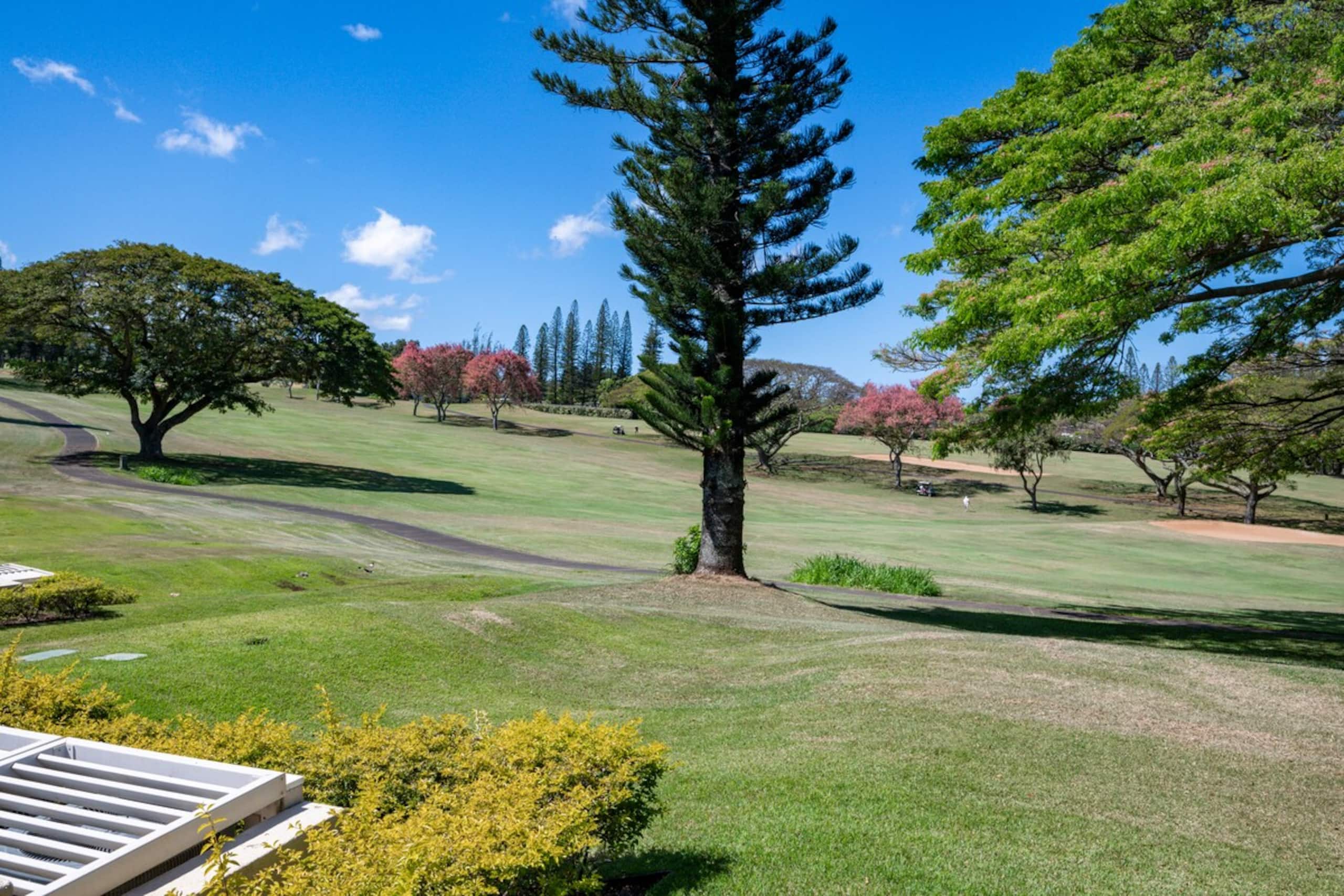 Luxury Kapalua Golf Villa 14P1-2 w/ Golf Views - Photo 33