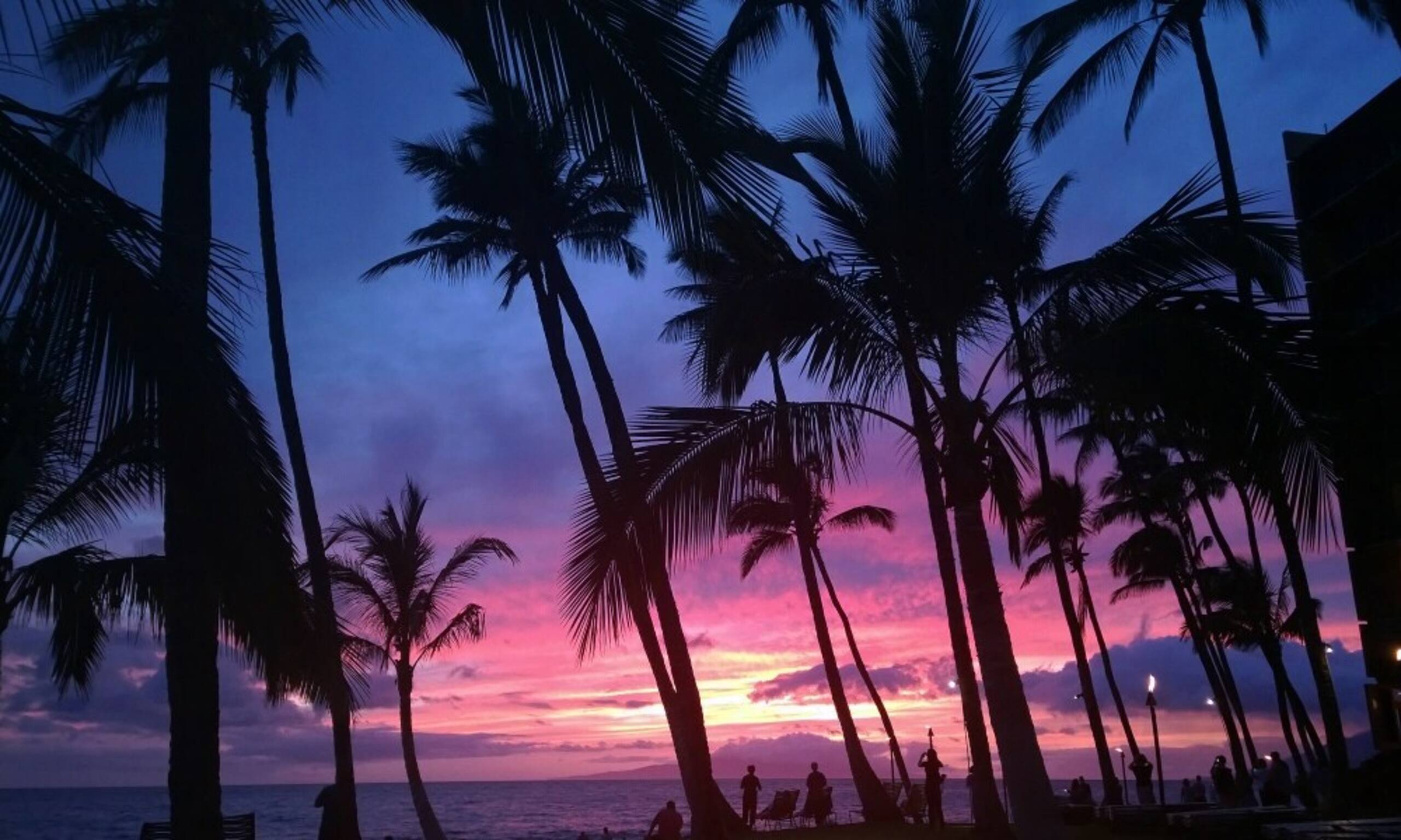 Dream Vacation getaway, B205 paradise - Photo 35