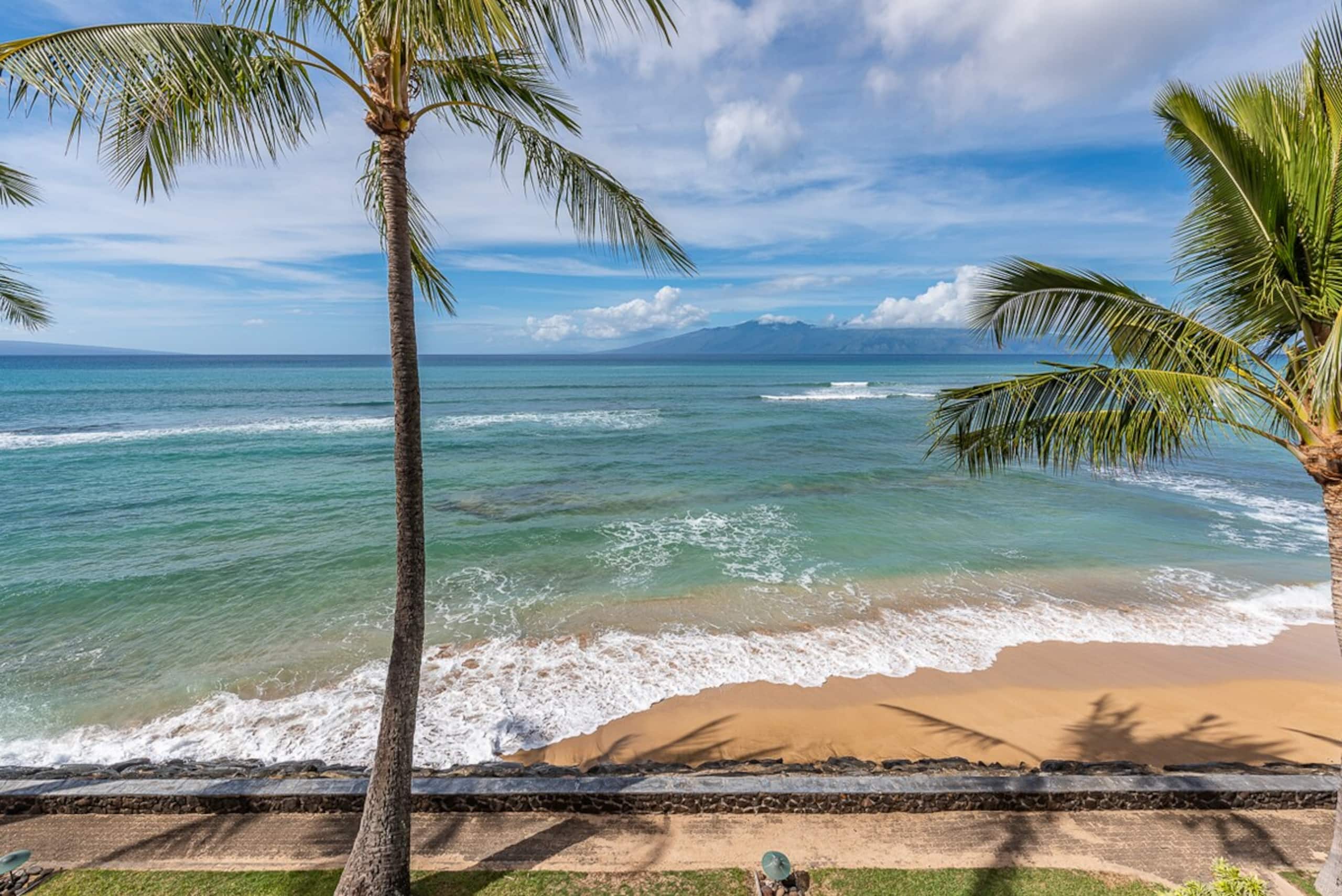Dream Vacation getaway, B205 paradise - Photo 33