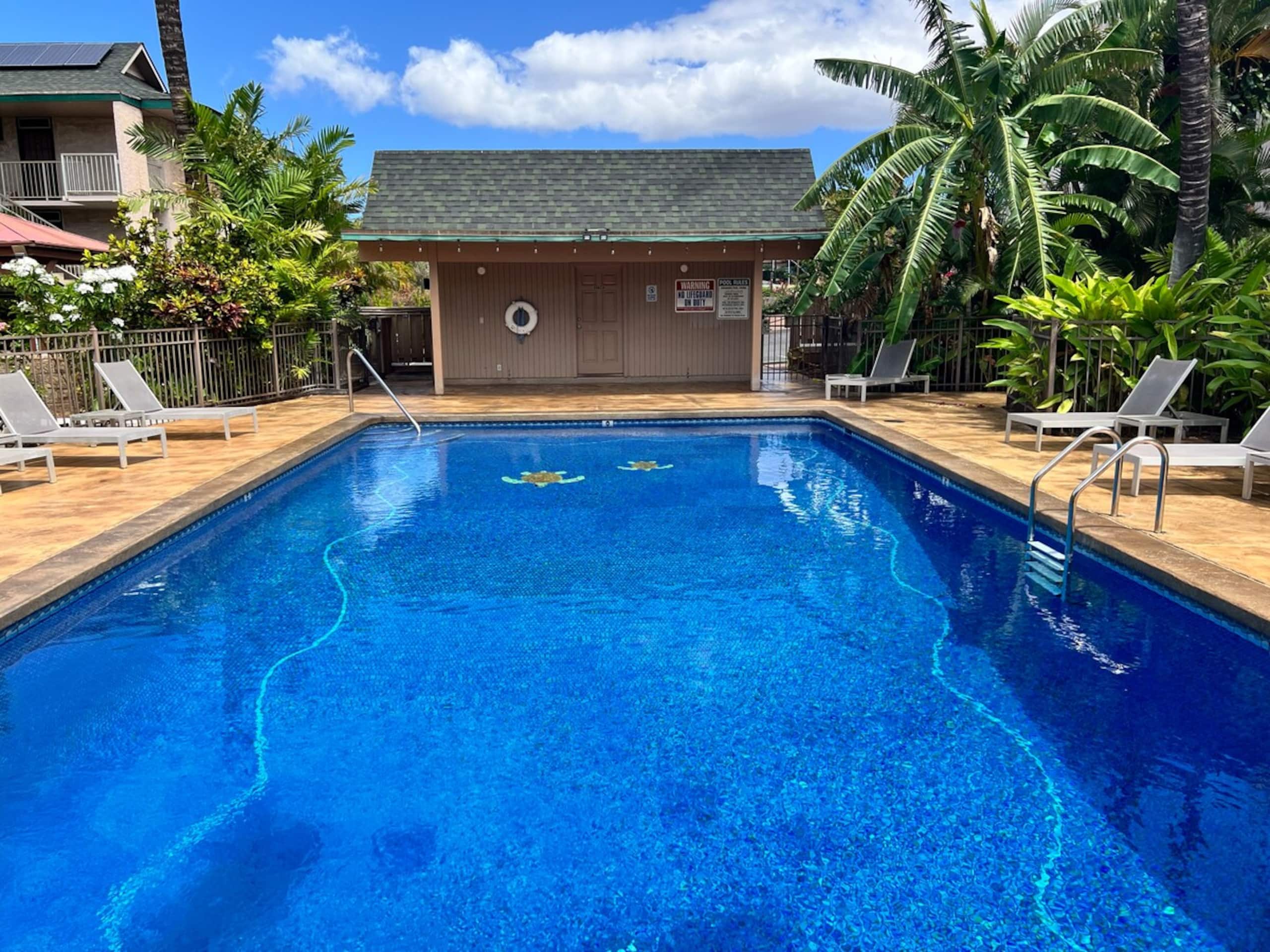 Kalama Terrace Renovated Retreat, AC! - Photo 26