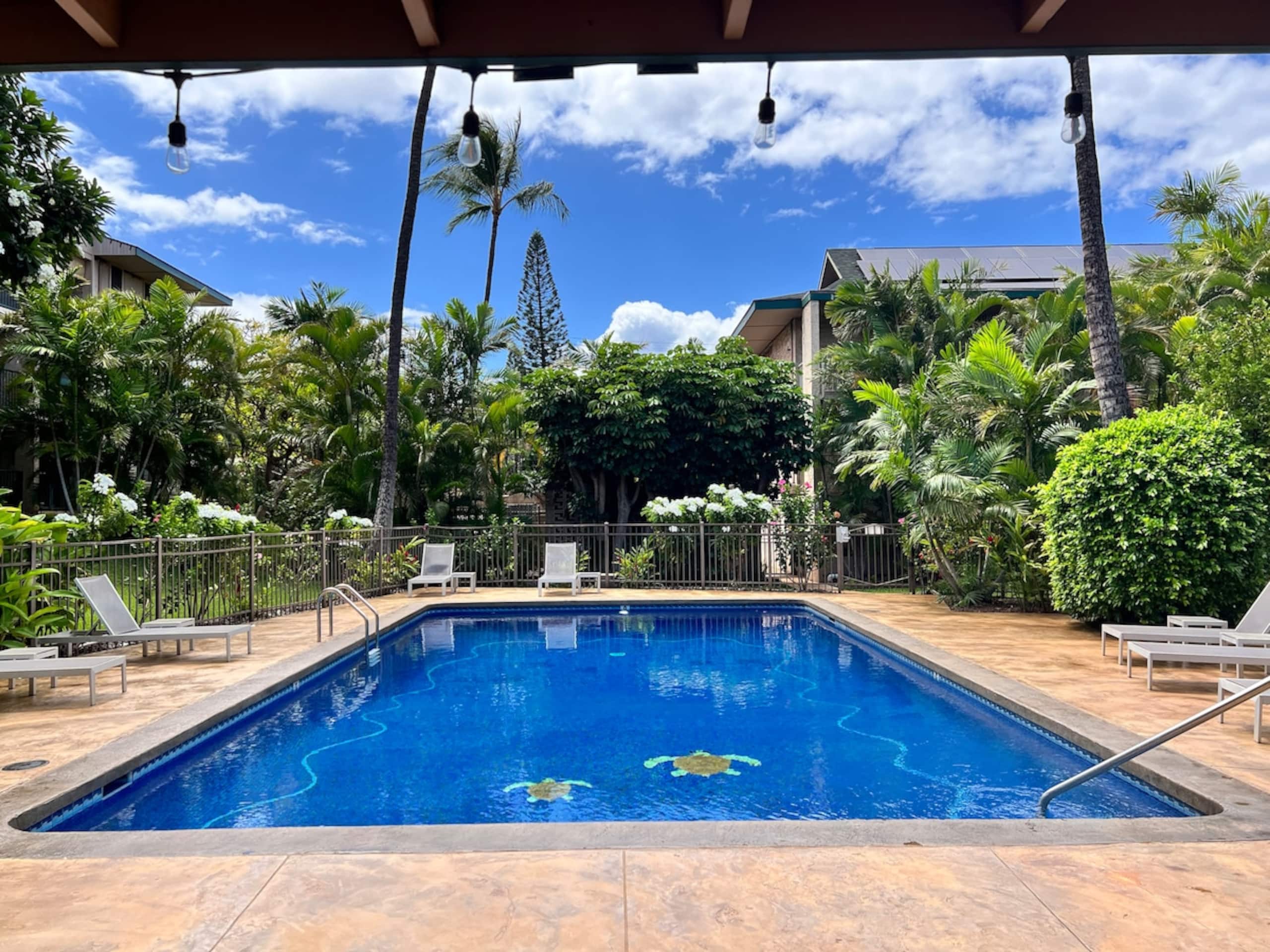 Kalama Terrace Renovated Retreat, AC! - Photo 4