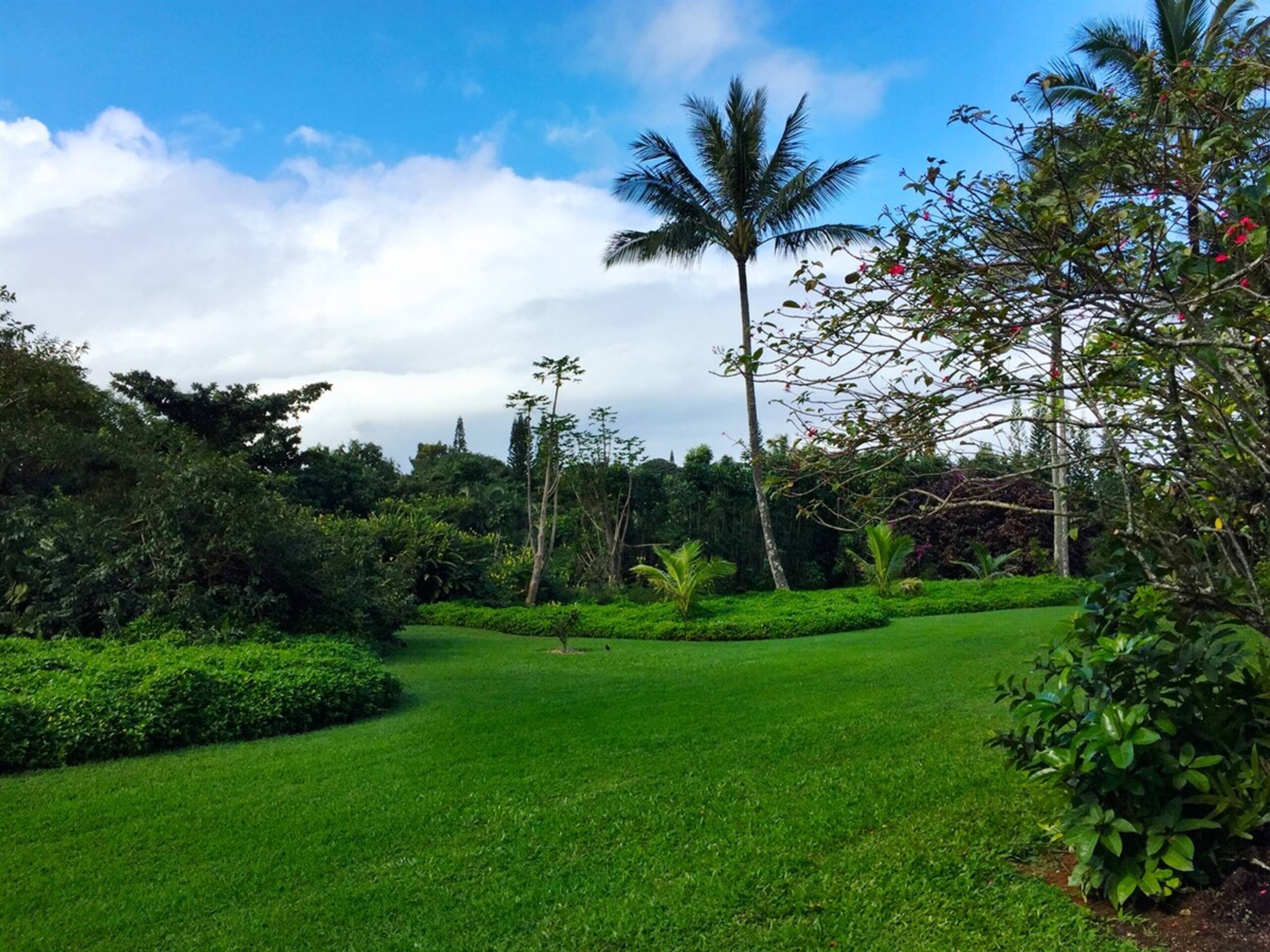 Princeville Condo Top Floor 2 Bed 2 Bath - Photo 13