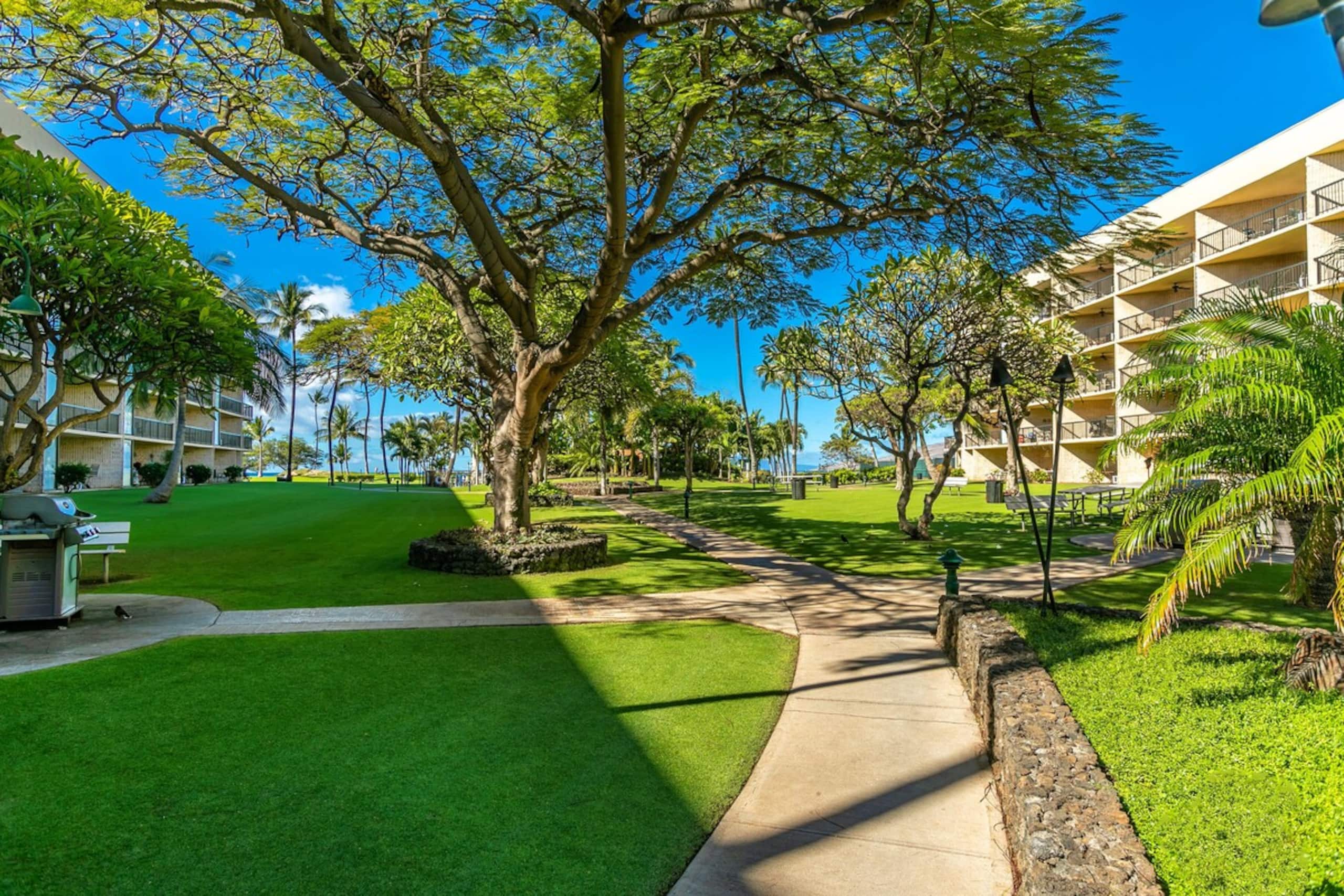 Maui Sunset Beachfront Condo with Ocean View - Photo 24