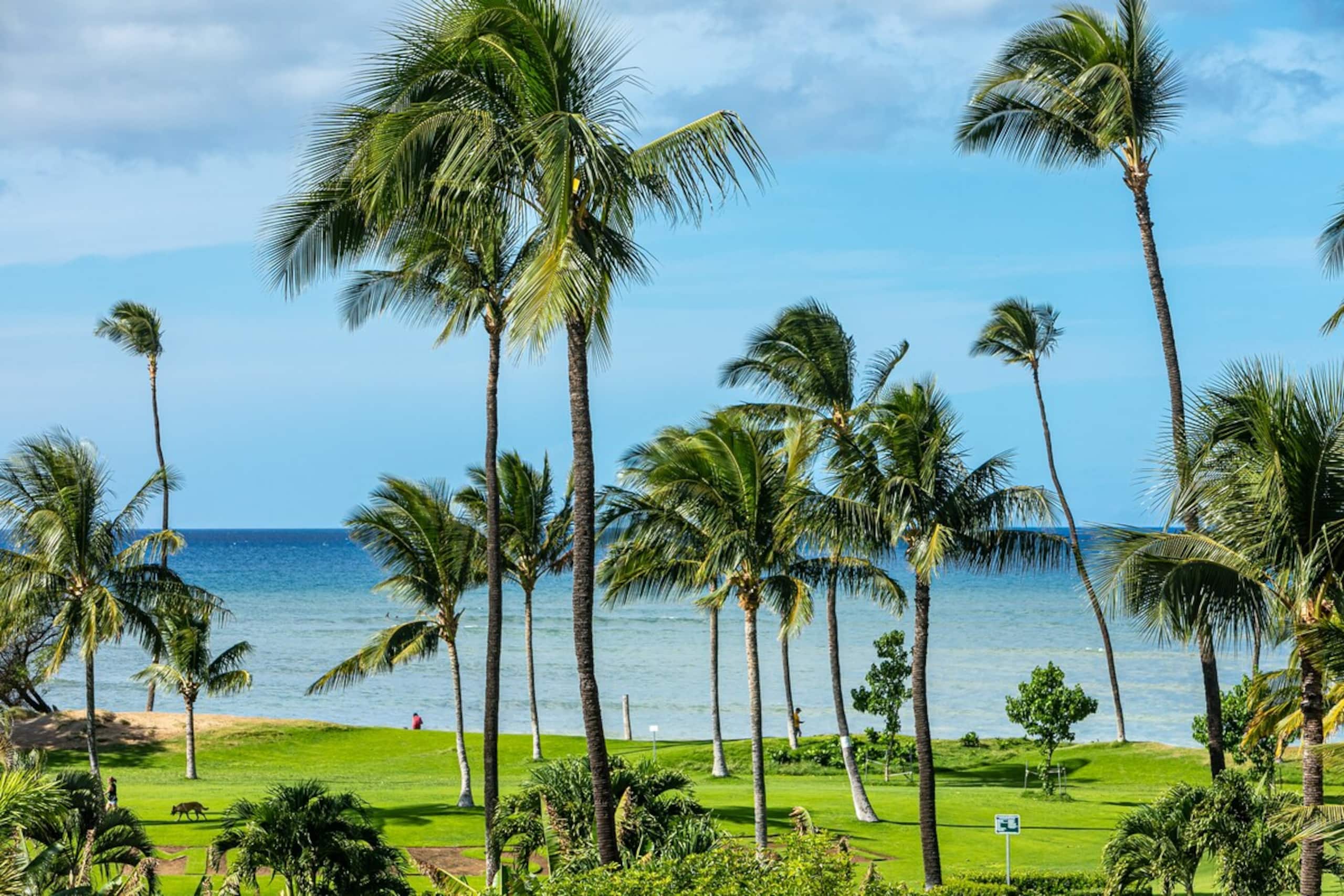 Maui Sunset Beachfront Condo with Ocean View - Photo 31