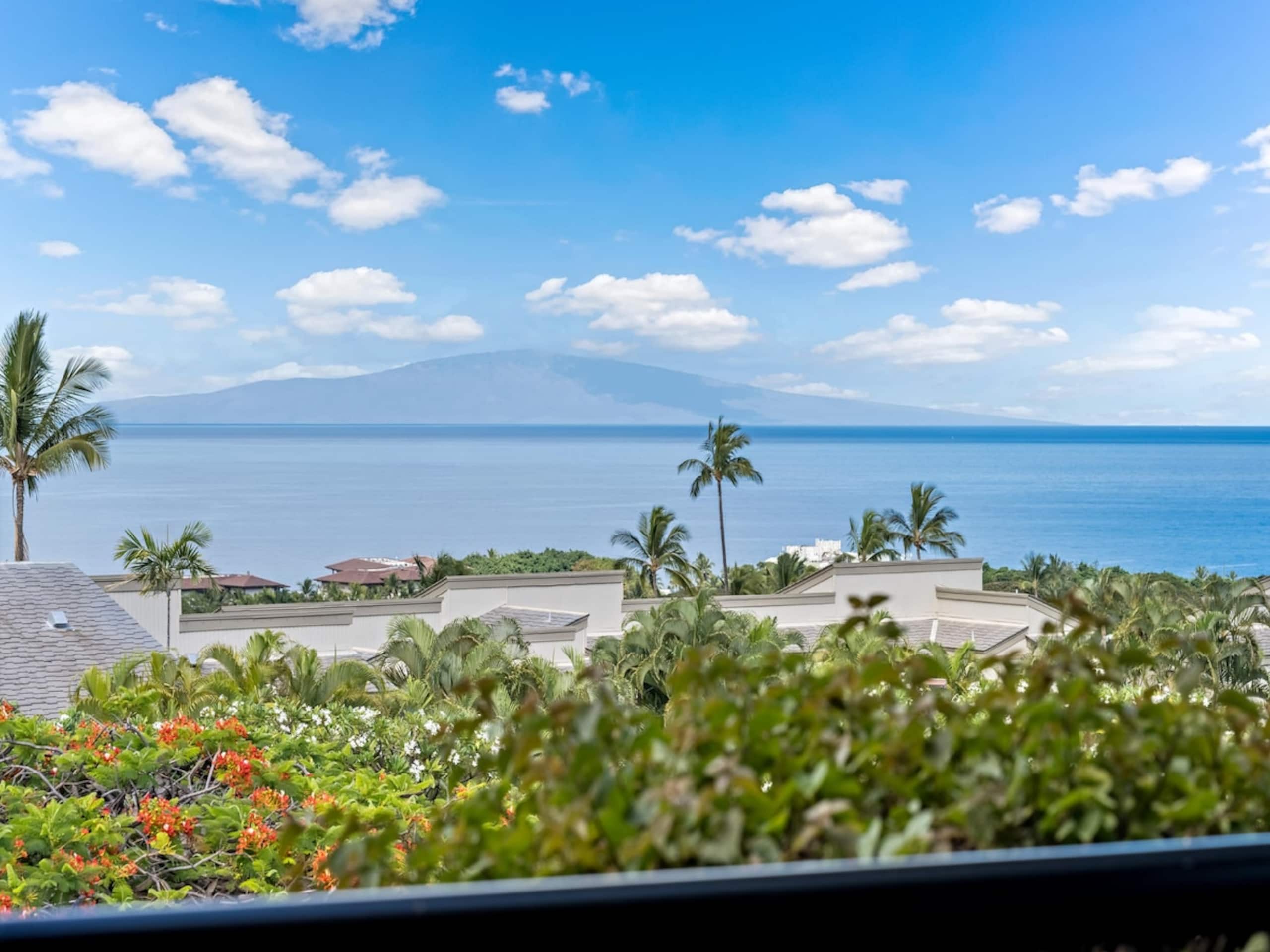 Ocean Views, Tropical Decor, Professionally - Photo 7