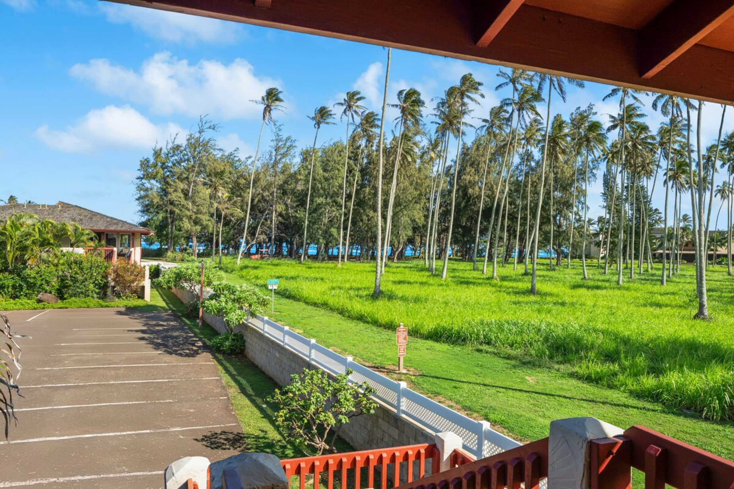 Village Manor D21, Kapaa Town Coconut Grove, Walk - Photo 22