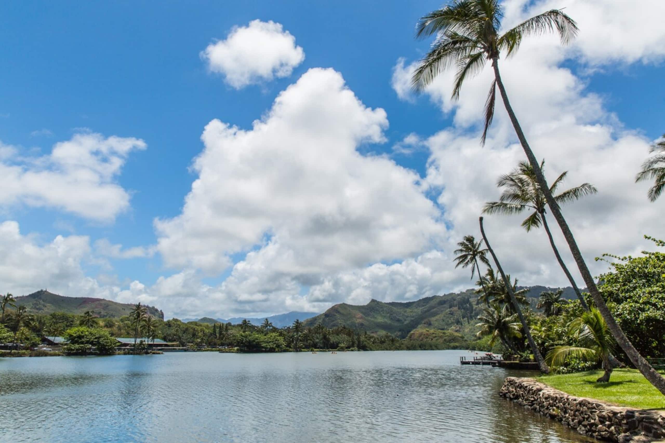 Village Manor D21, Kapaa Town Coconut Grove, Walk - Photo 33