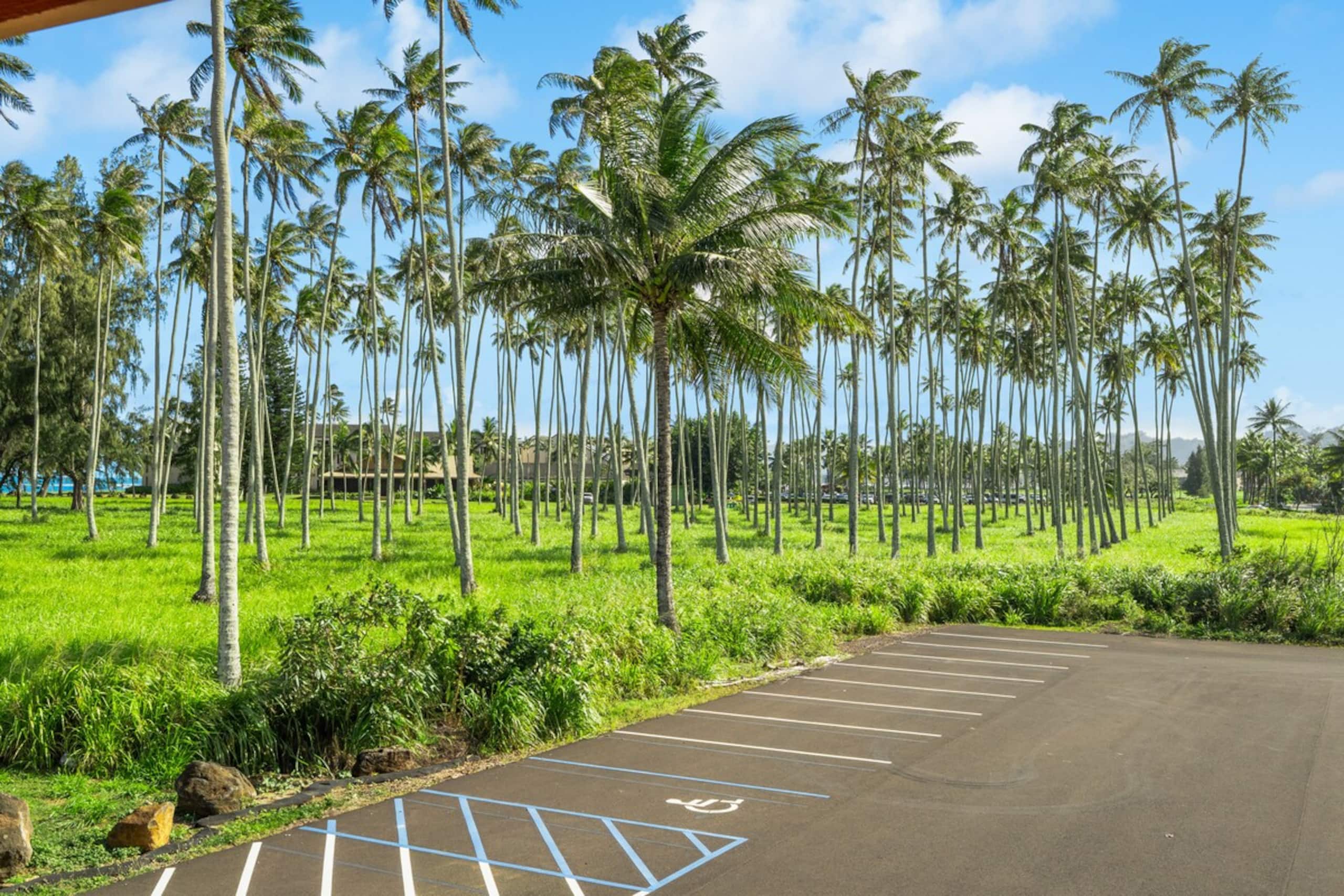 Village Manor D21, Kapaa Town Coconut Grove, Walk - Photo 29