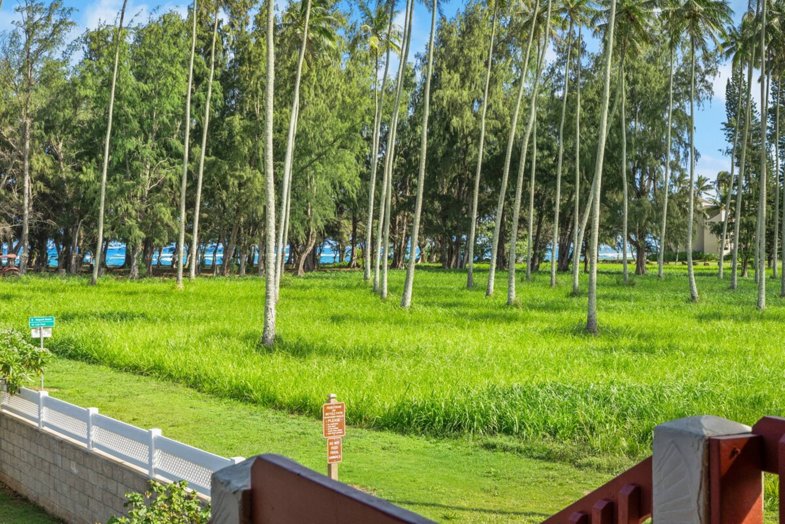 Village Manor D21, Kapaa Town Coconut Grove, Walk - Photo 23