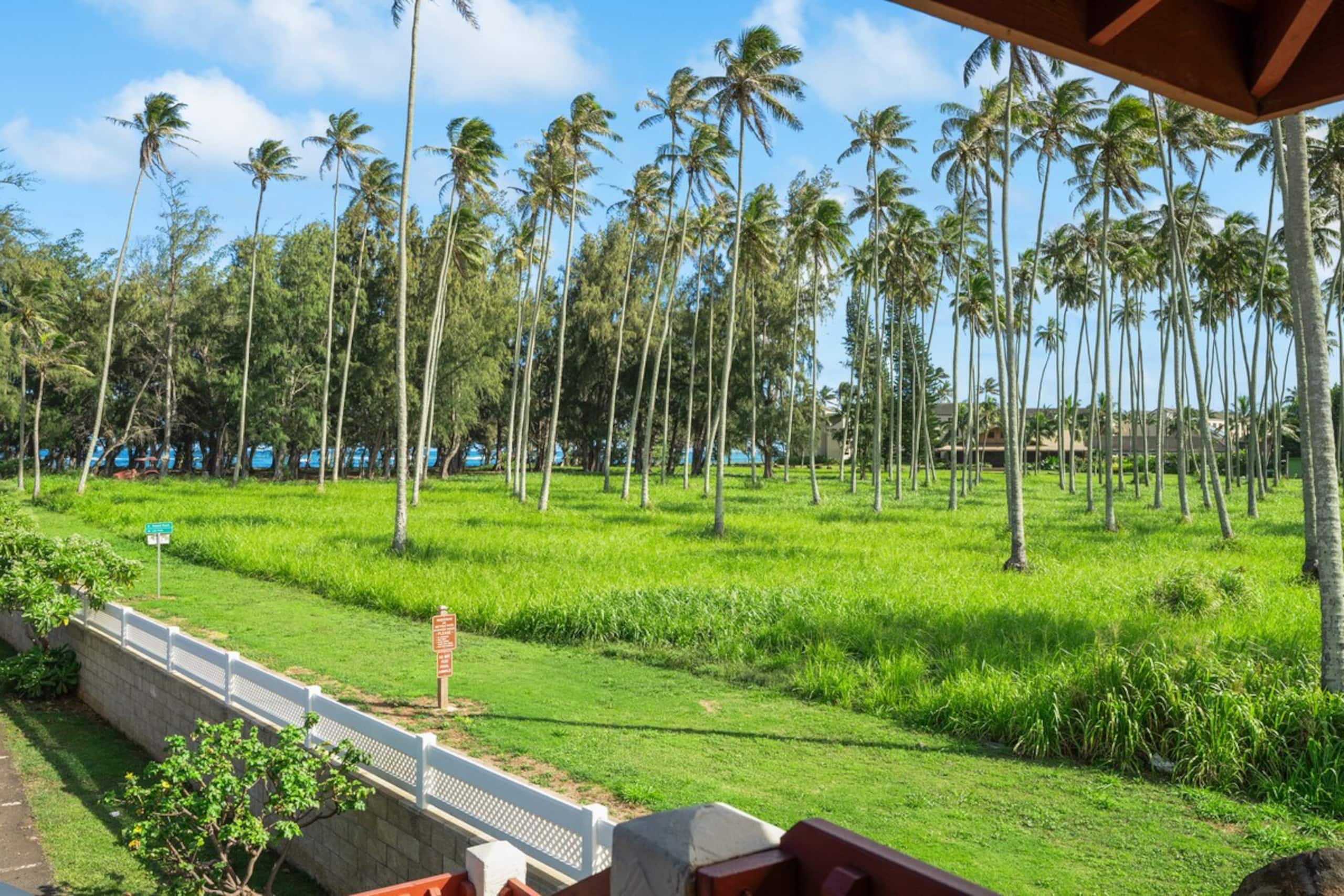 Village Manor D21, Kapaa Town Coconut Grove, Walk - Photo 21