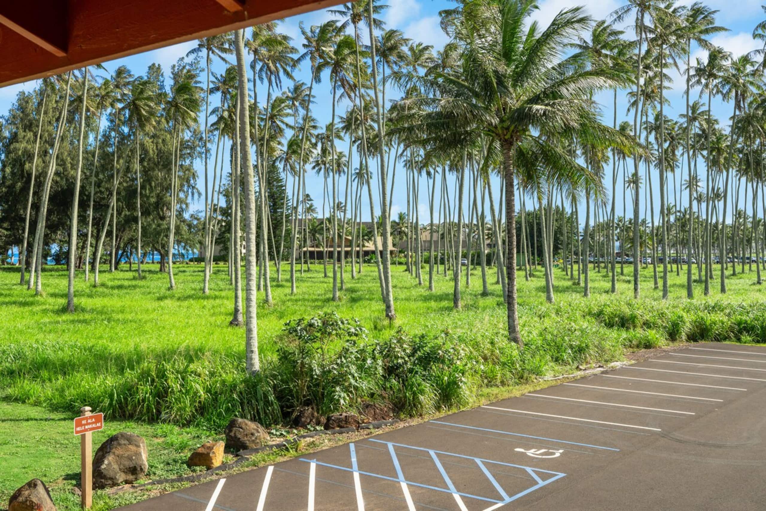 Village Manor D21, Kapaa Town Coconut Grove, Walk - Photo 28