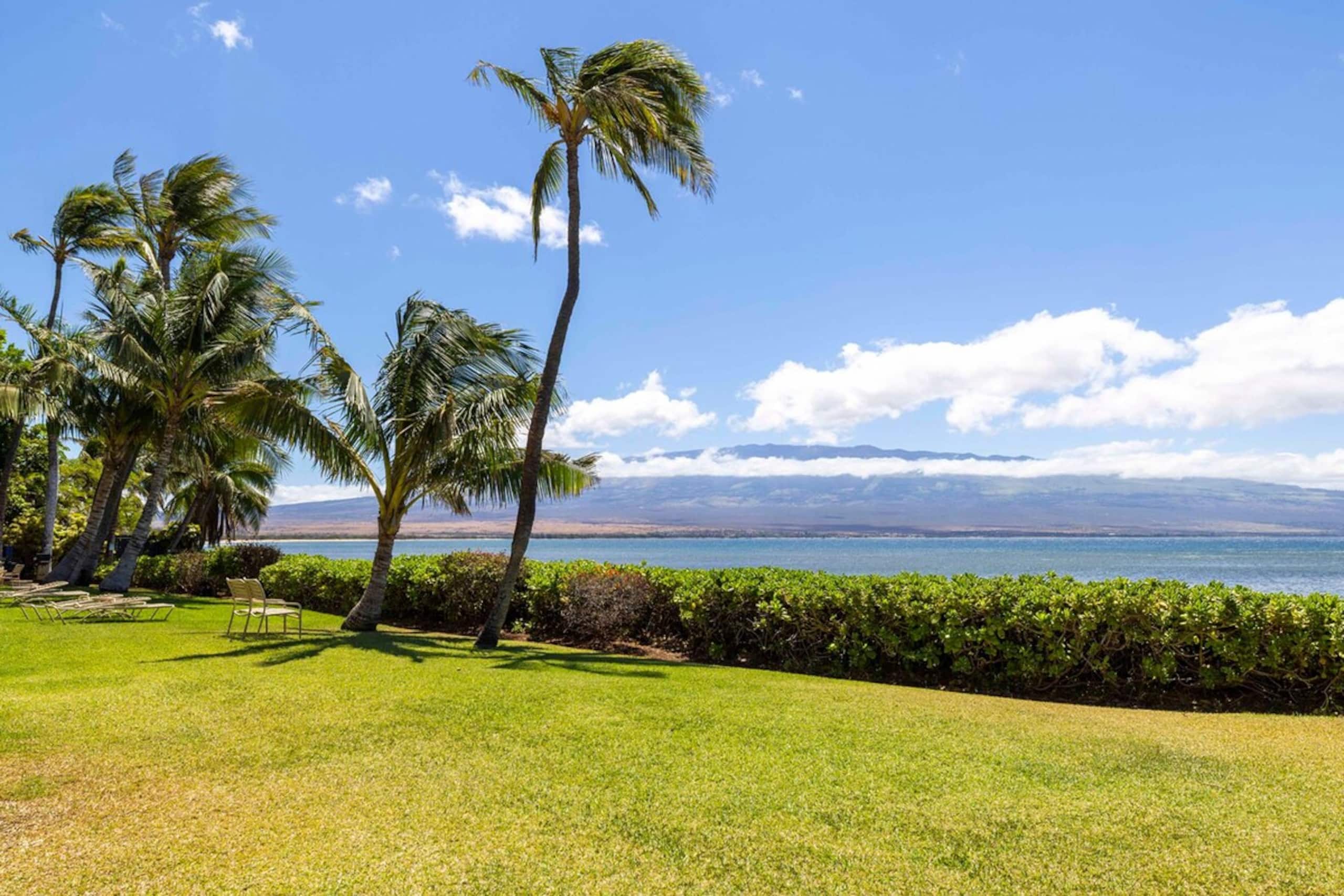 Oceanfront Ma'alaea Banyans 202-Central Maui Condo - Photo 38