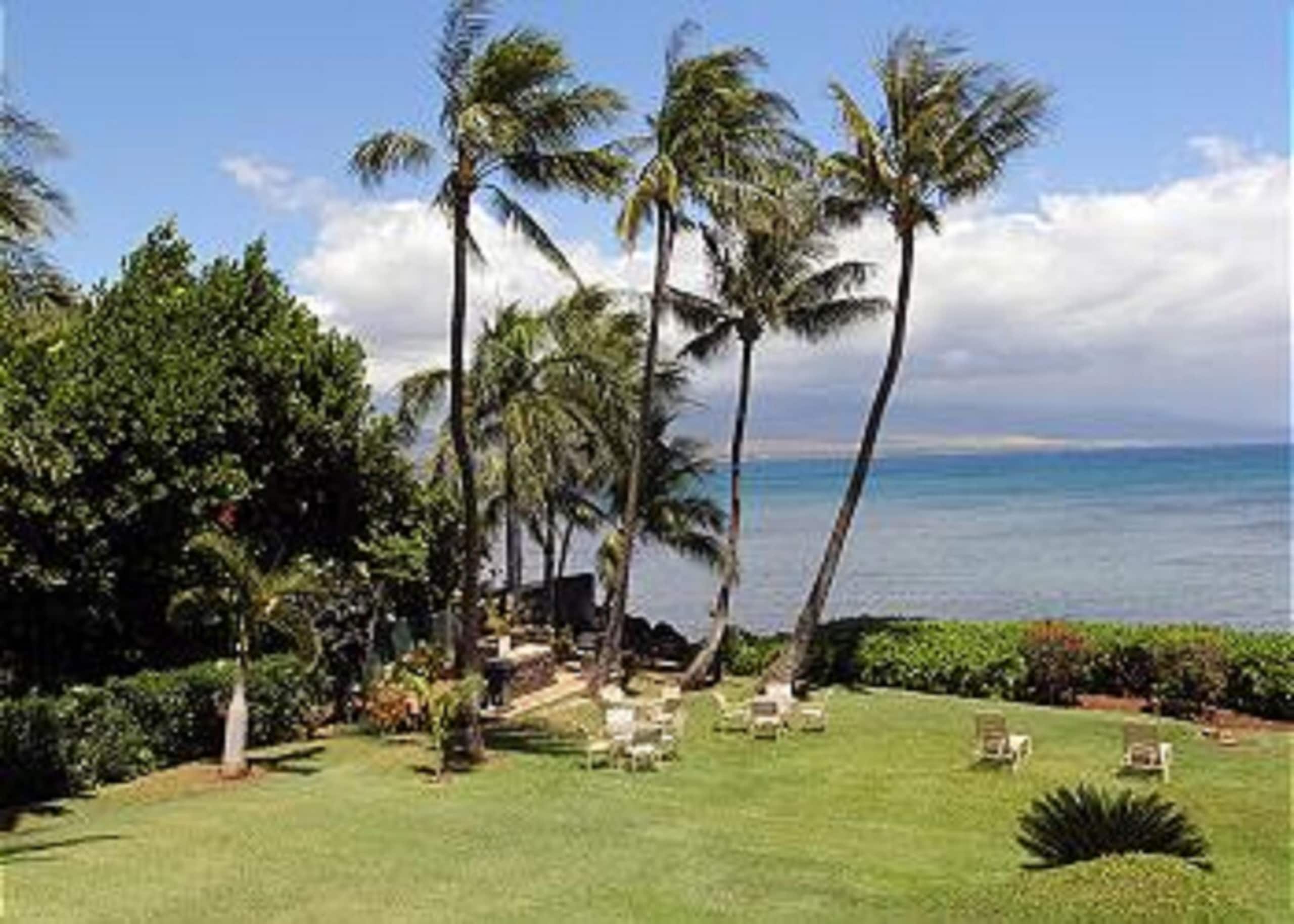 Oceanfront Ma'alaea Banyans 202-Central Maui Condo - Photo 29