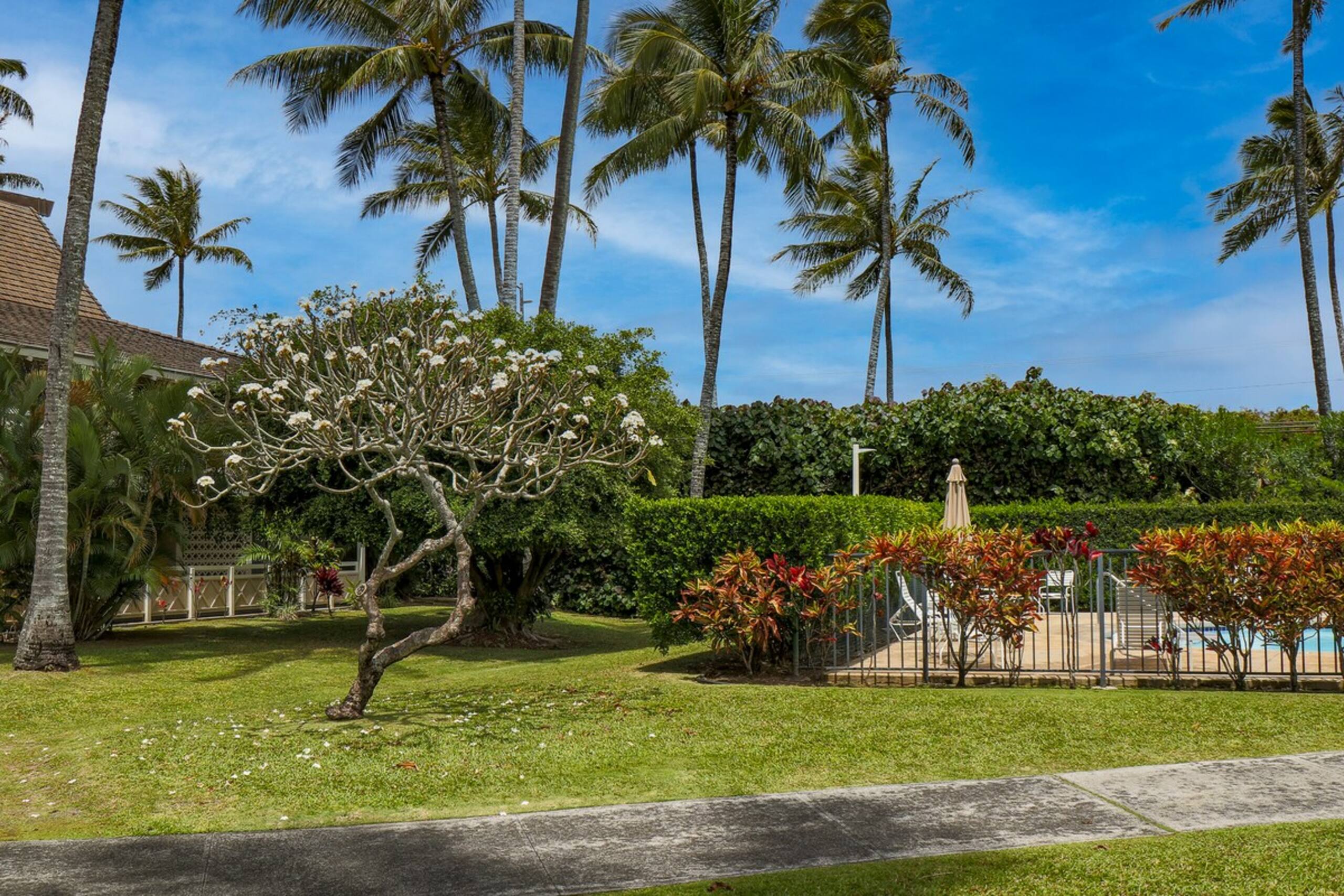1 Bdrm Condo Conveniently Located in Kapaa - Photo 17