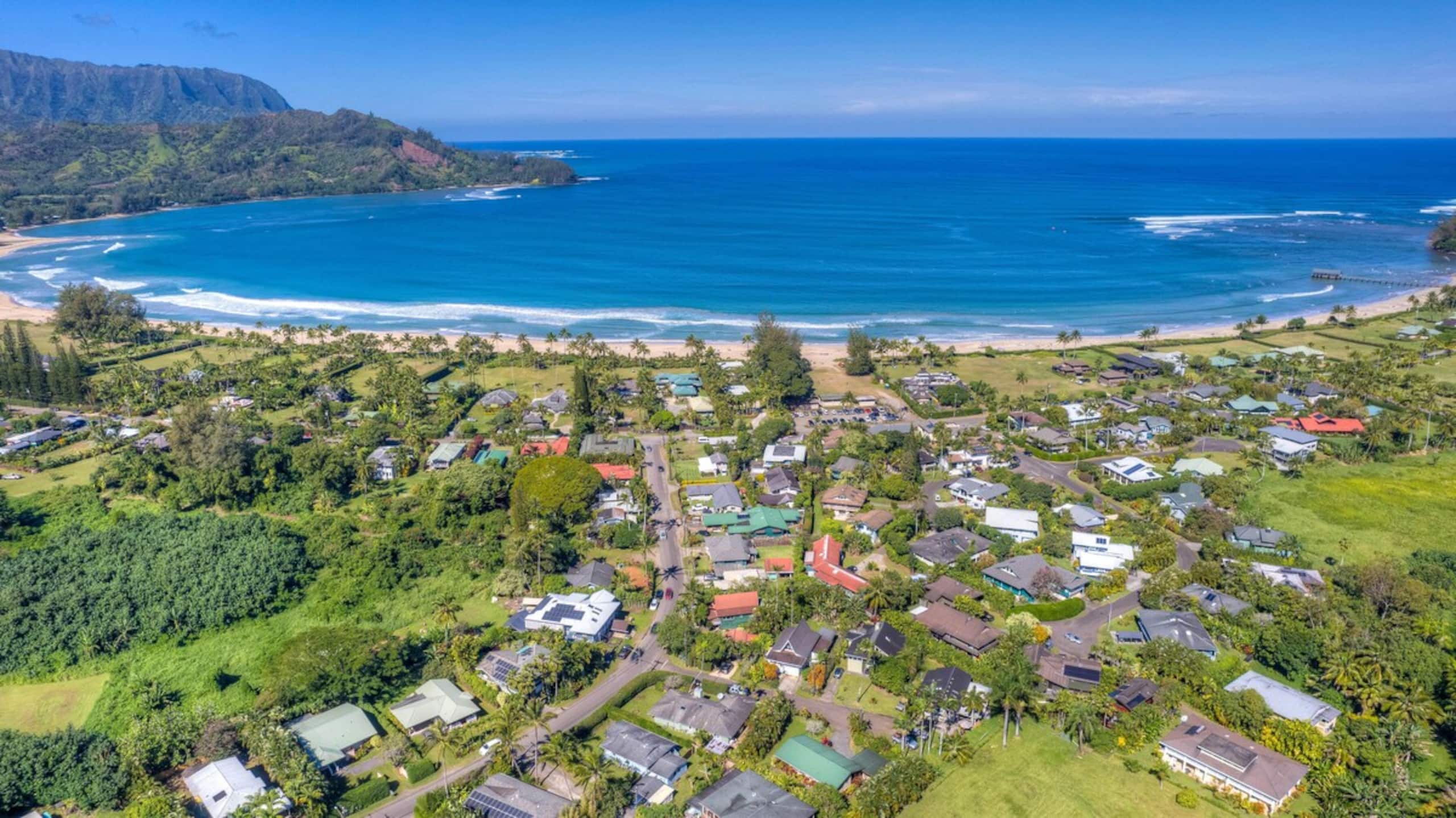 Studio Located in the Heart of Princeville - Photo 14