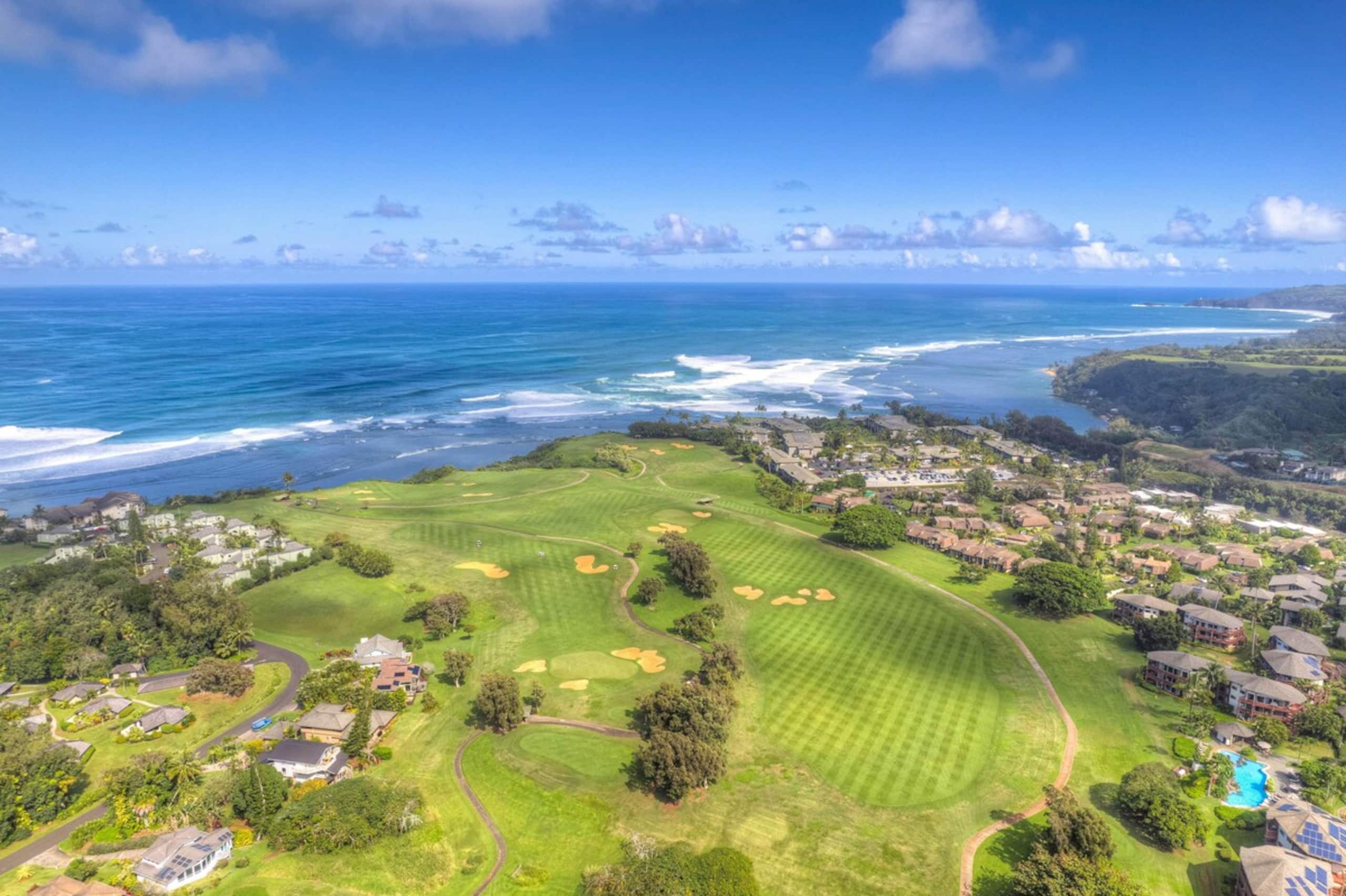 Studio Located in the Heart of Princeville - Photo 18