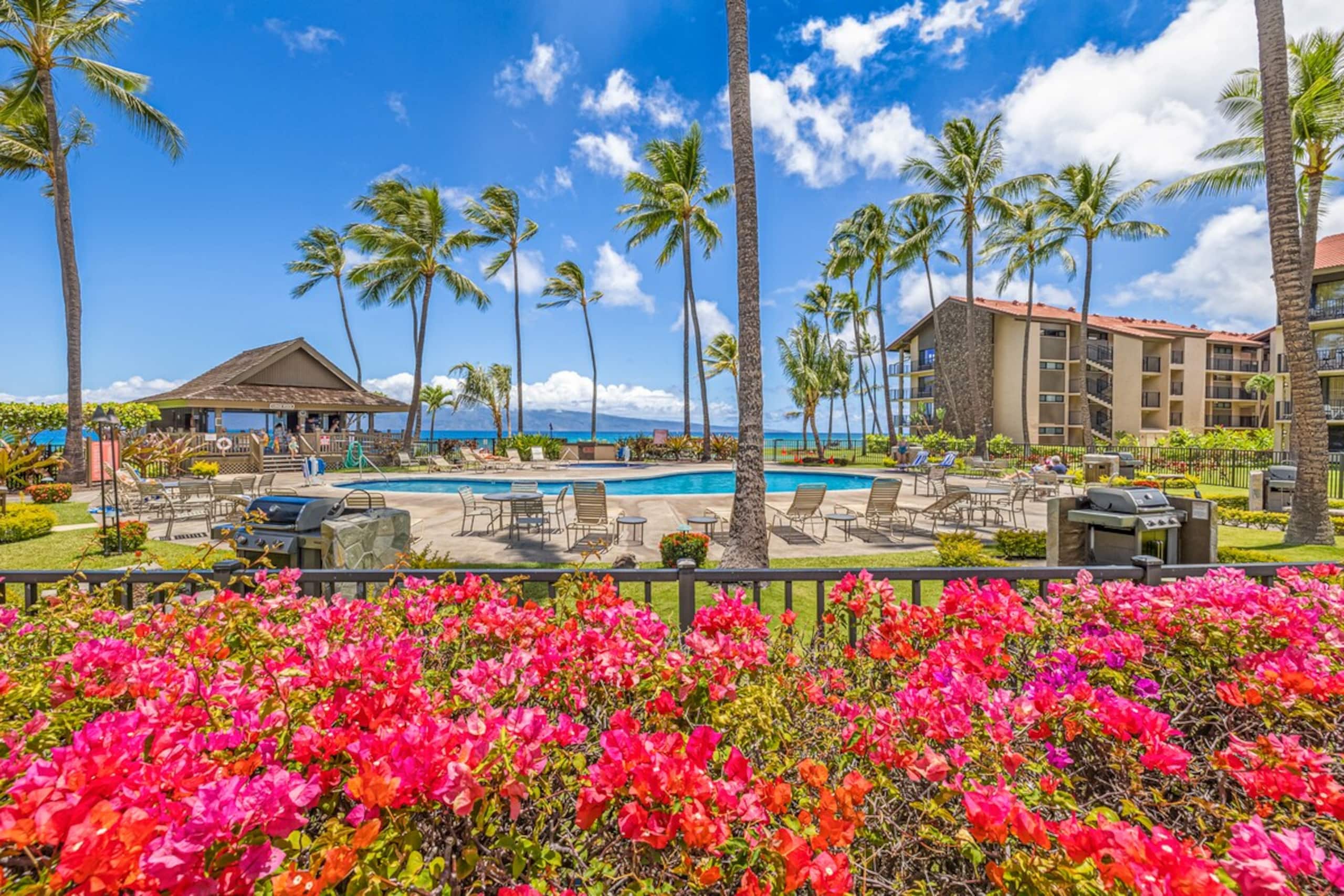 Oceanfront Resort - Vacation West Maui - Photo 30