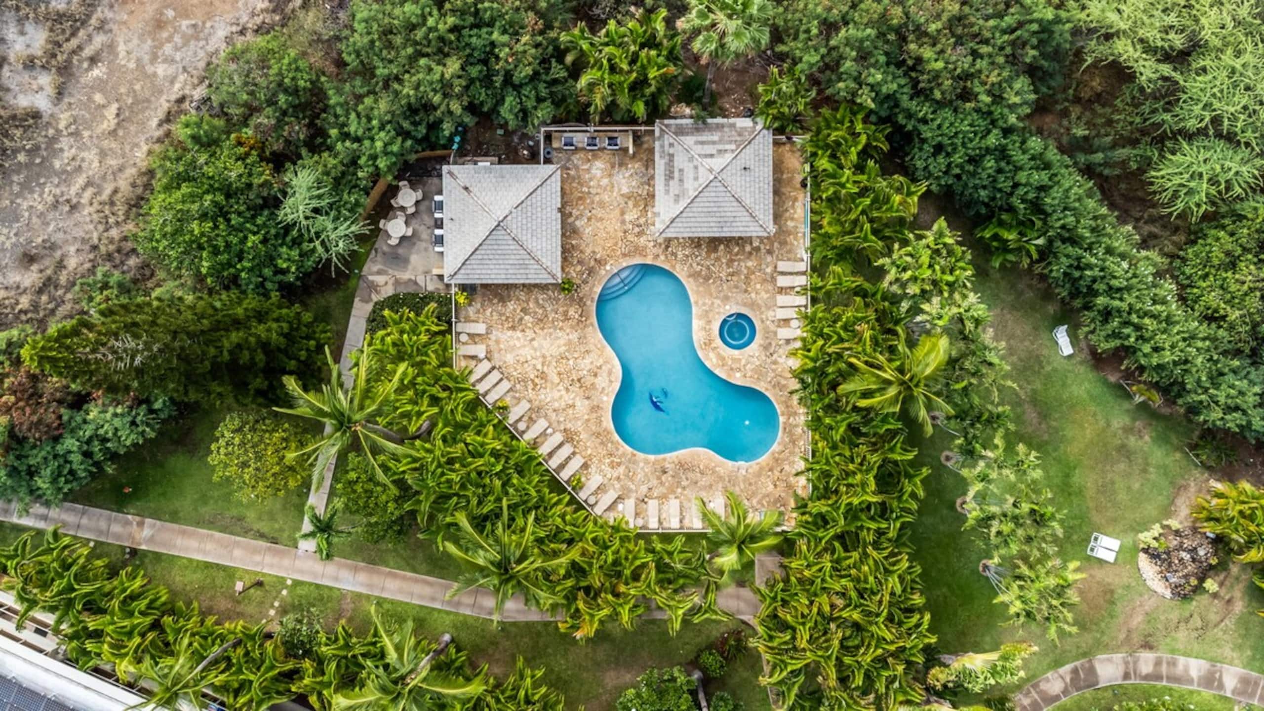 Beachfront Maui Banyan Condo - Steps to Beach - Photo 32