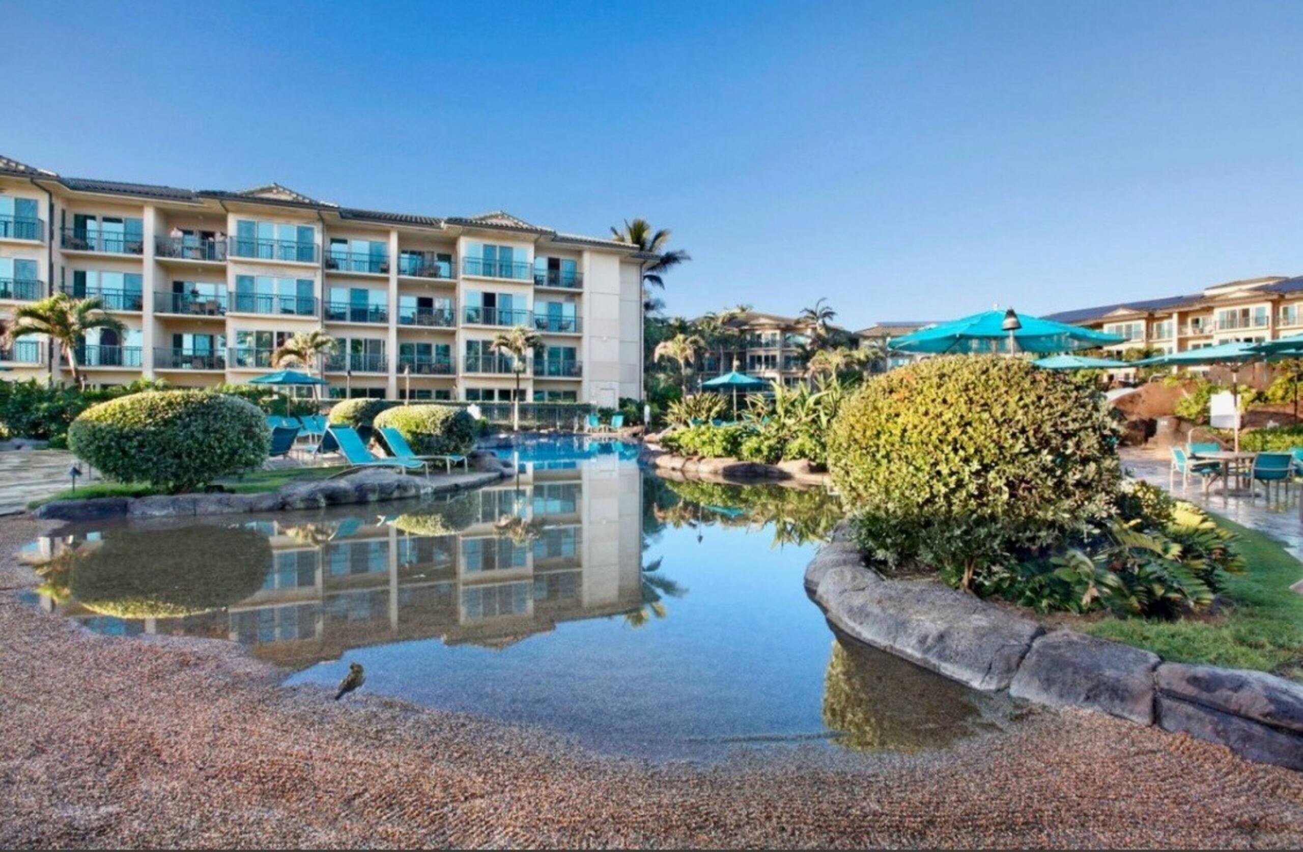 BEACH FRONT Resort/SPA LARGE Luxury Grand Suite - Photo 61