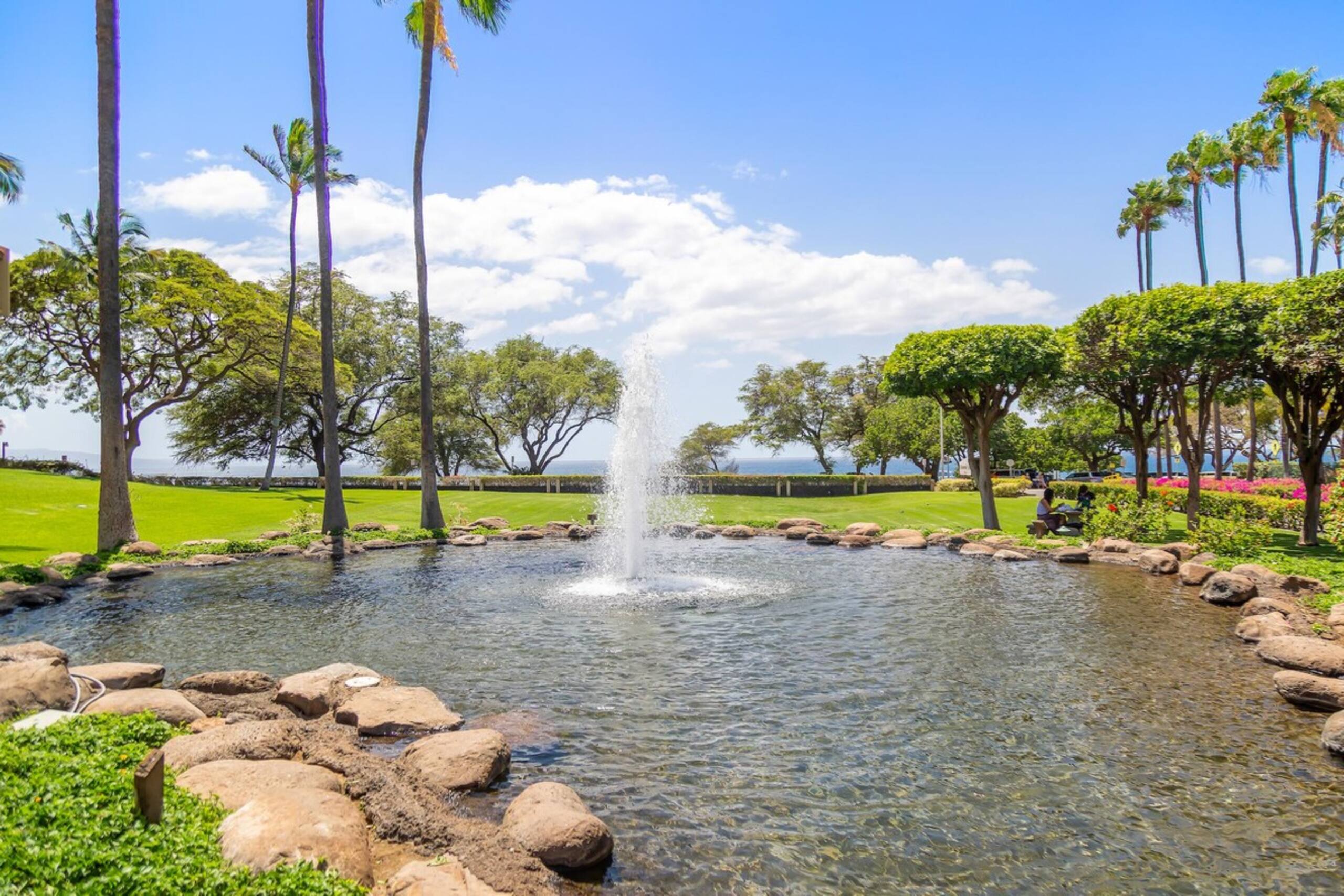 Stunning Remodel I Kamaole Sands 5-207 - Photo 50