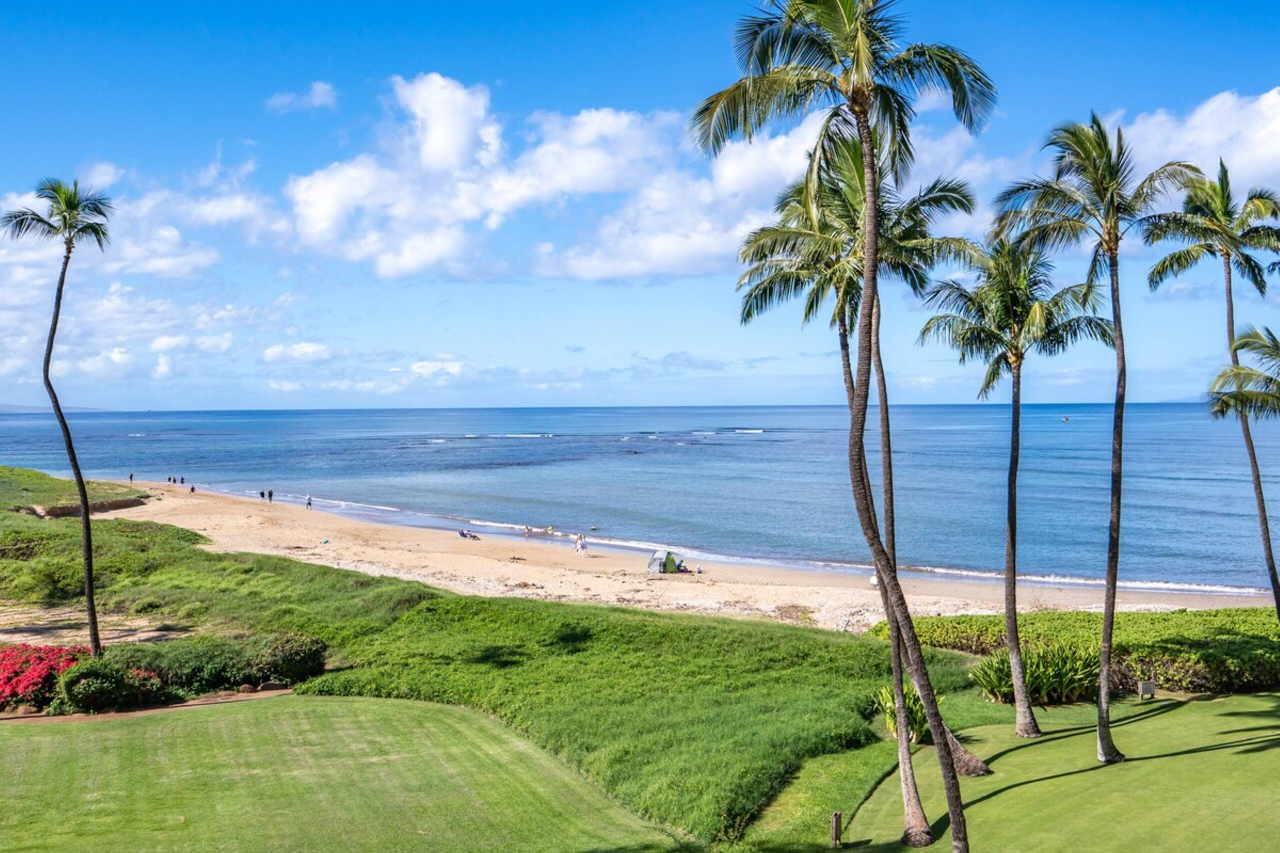 Panoramic Ocean View, Great Rates MENSH425 - Photo 36