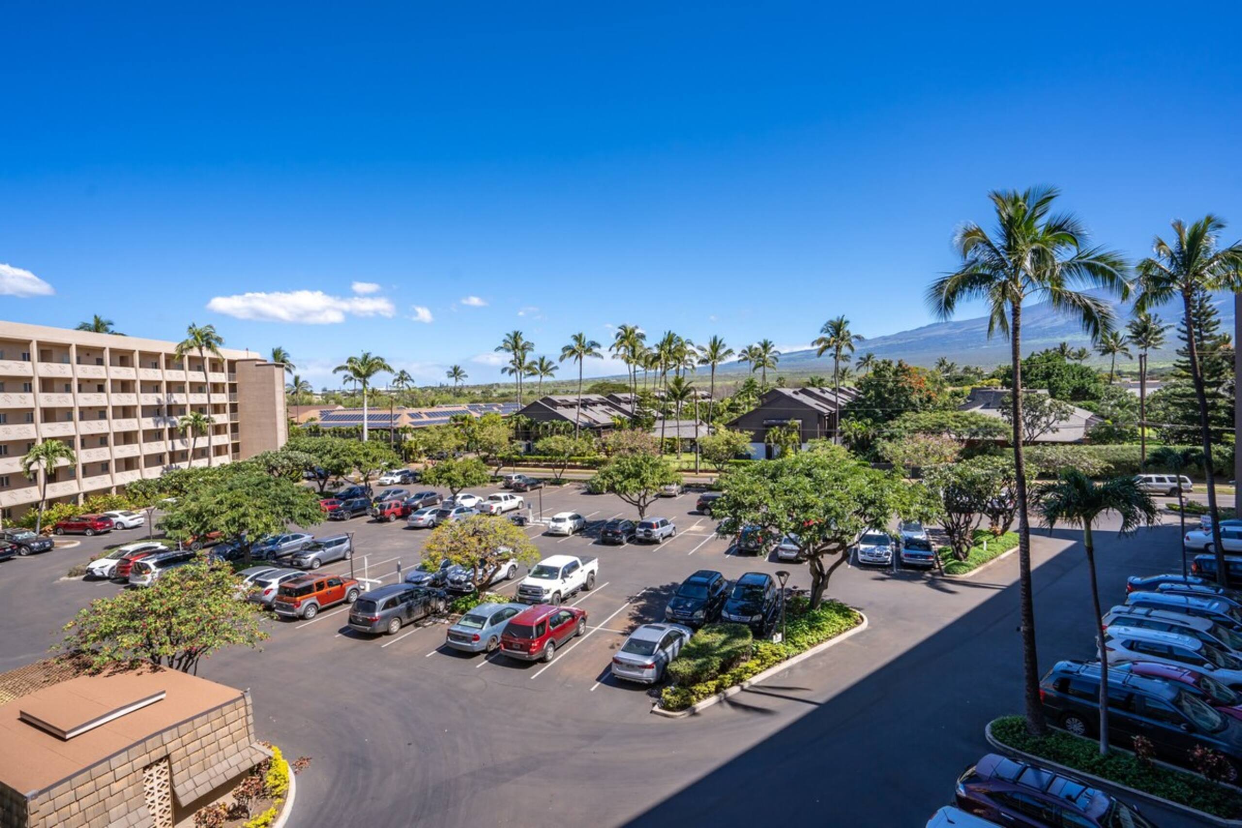 Panoramic Ocean View, Great Rates MENSH425 - Photo 44