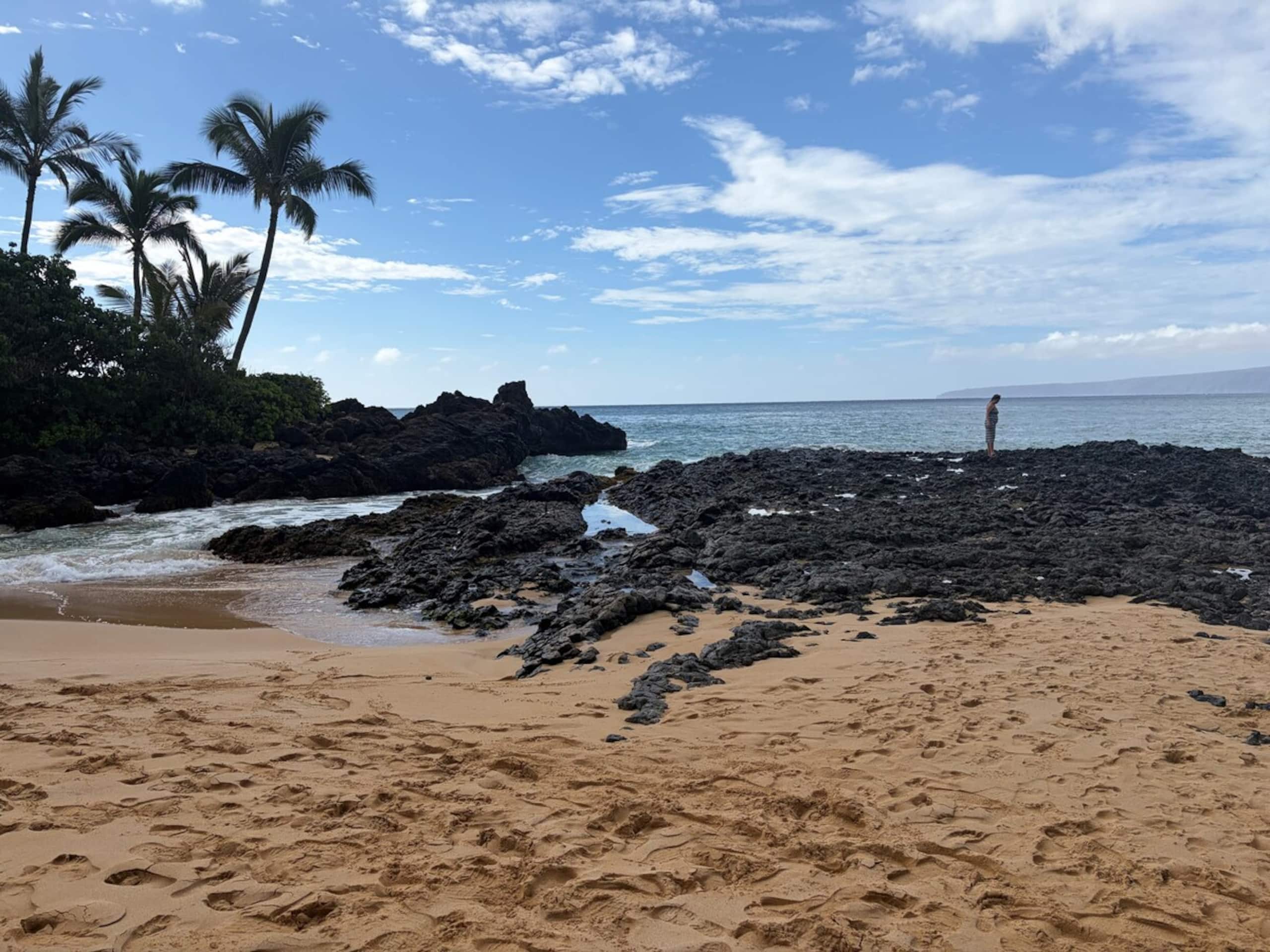 A201a-The closest Maui Banyan studio to the beach - Photo 26