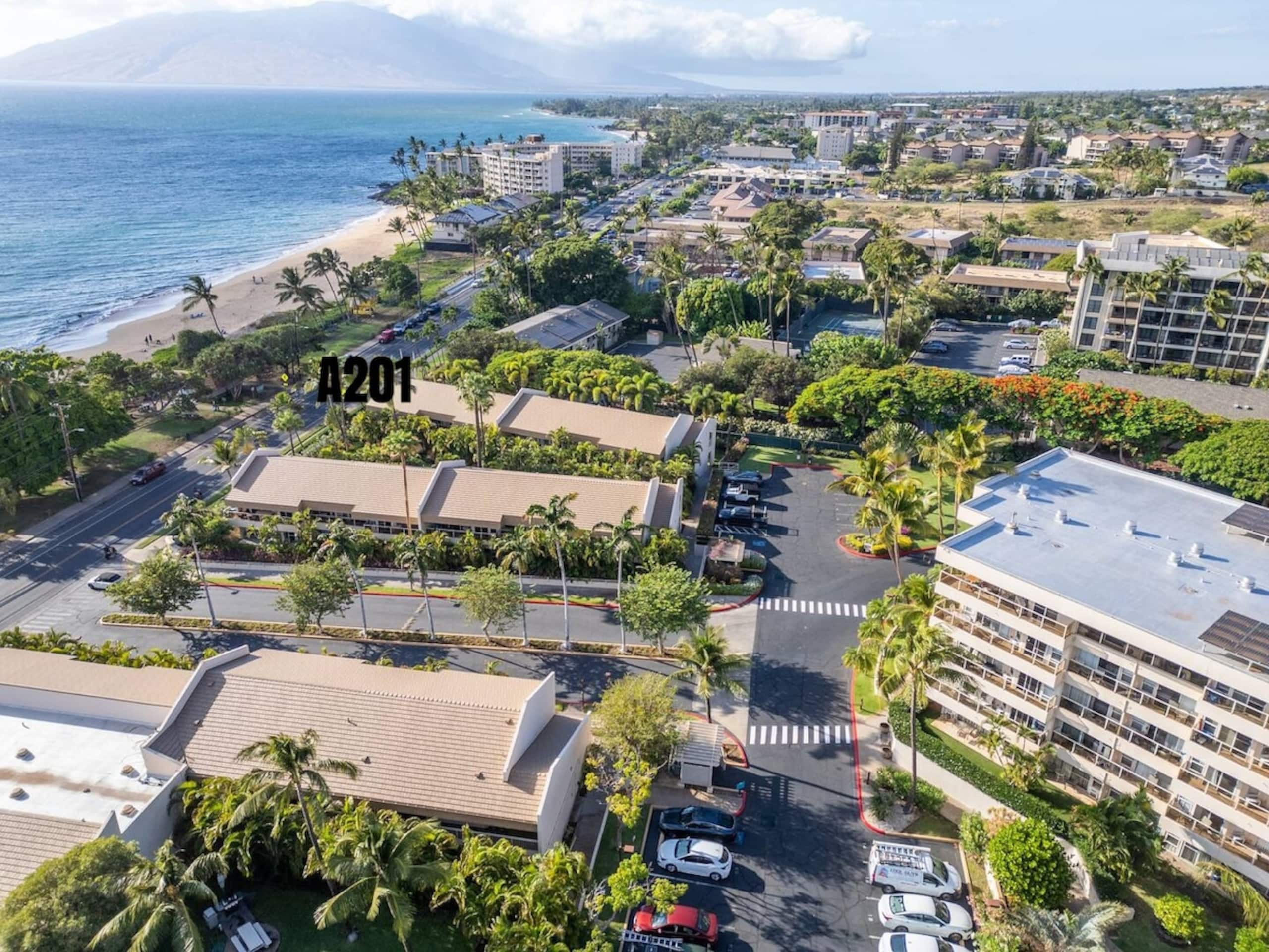 A201a-The closest Maui Banyan studio to the beach - Photo 16