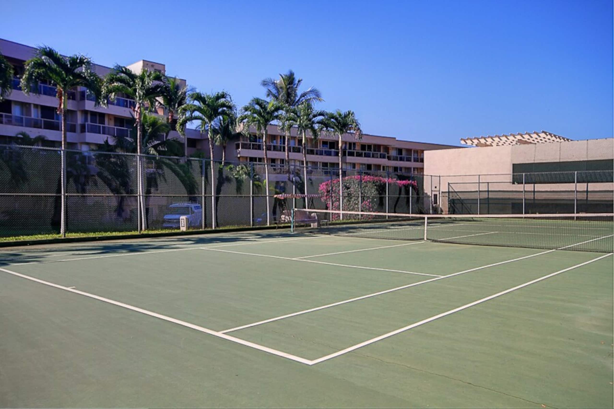 A201a-The closest Maui Banyan studio to the beach - Photo 32