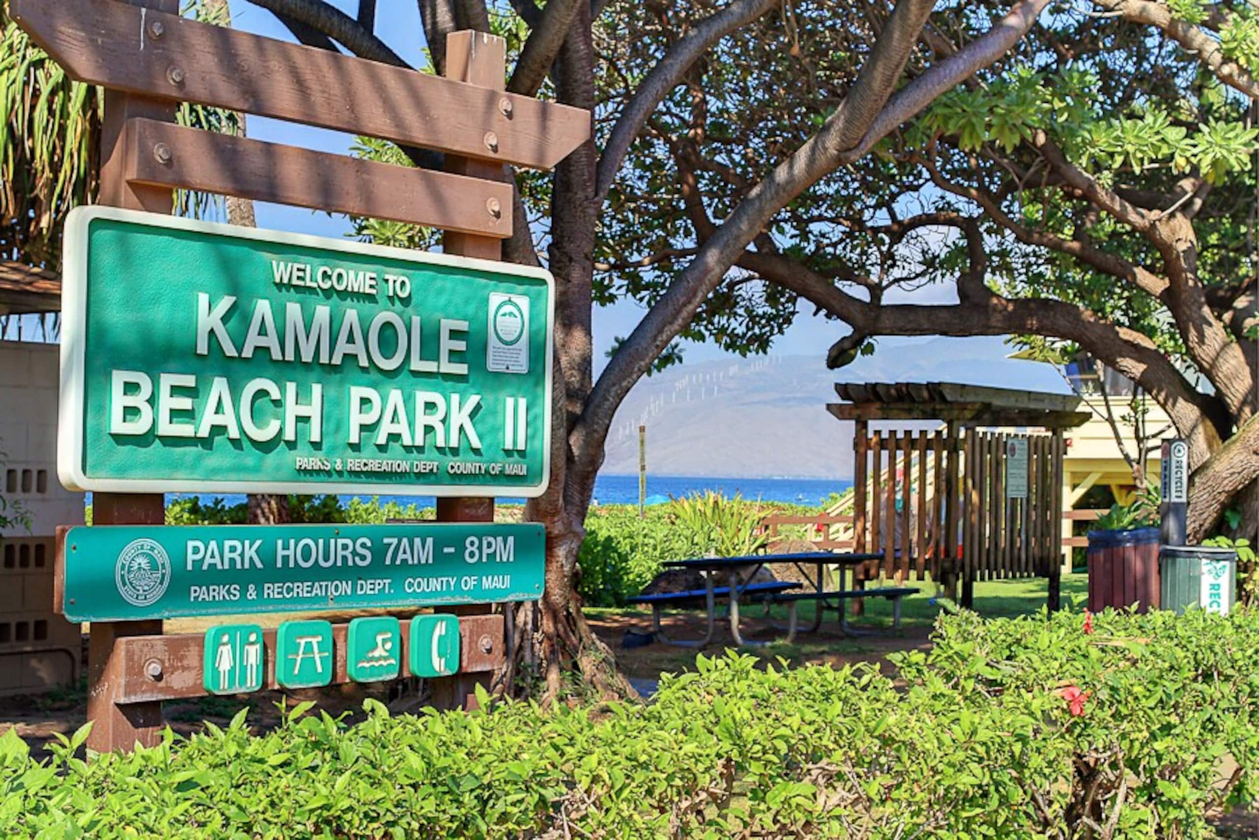 A201a-The closest Maui Banyan studio to the beach - Photo 29