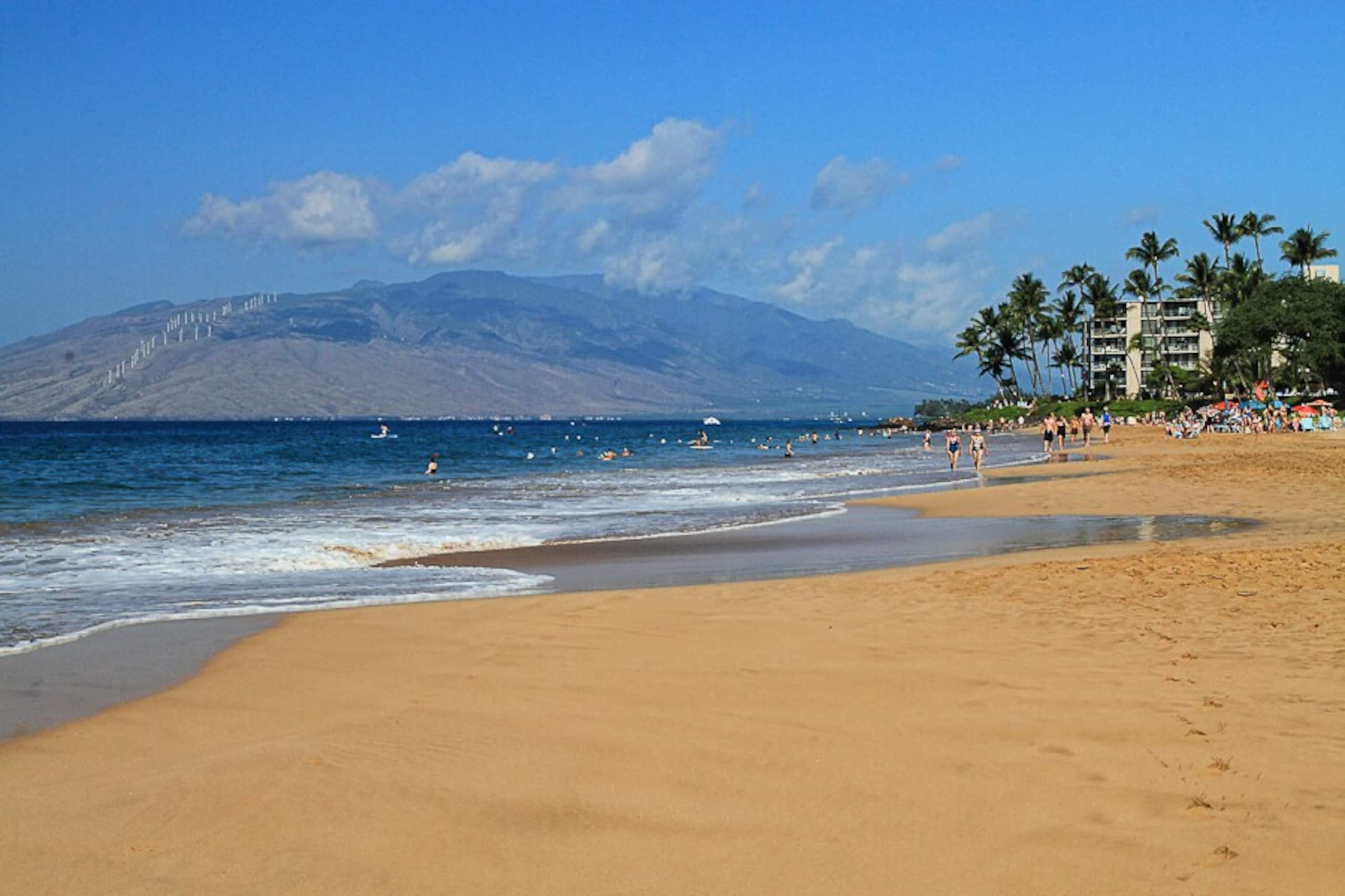 A201a-The closest Maui Banyan studio to the beach - Photo 27