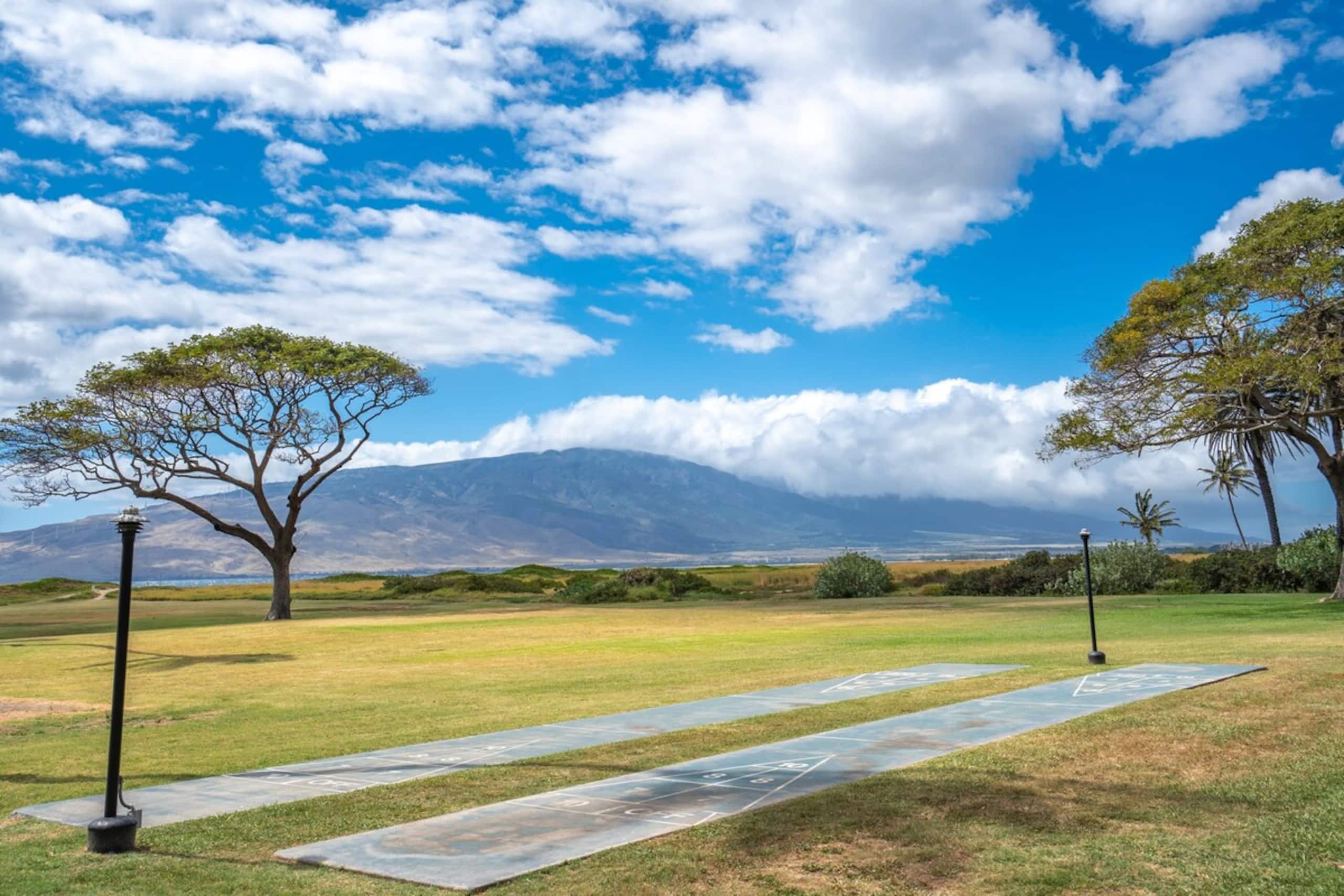 Oceanfront Kihei Paradise Vistas - Photo 31