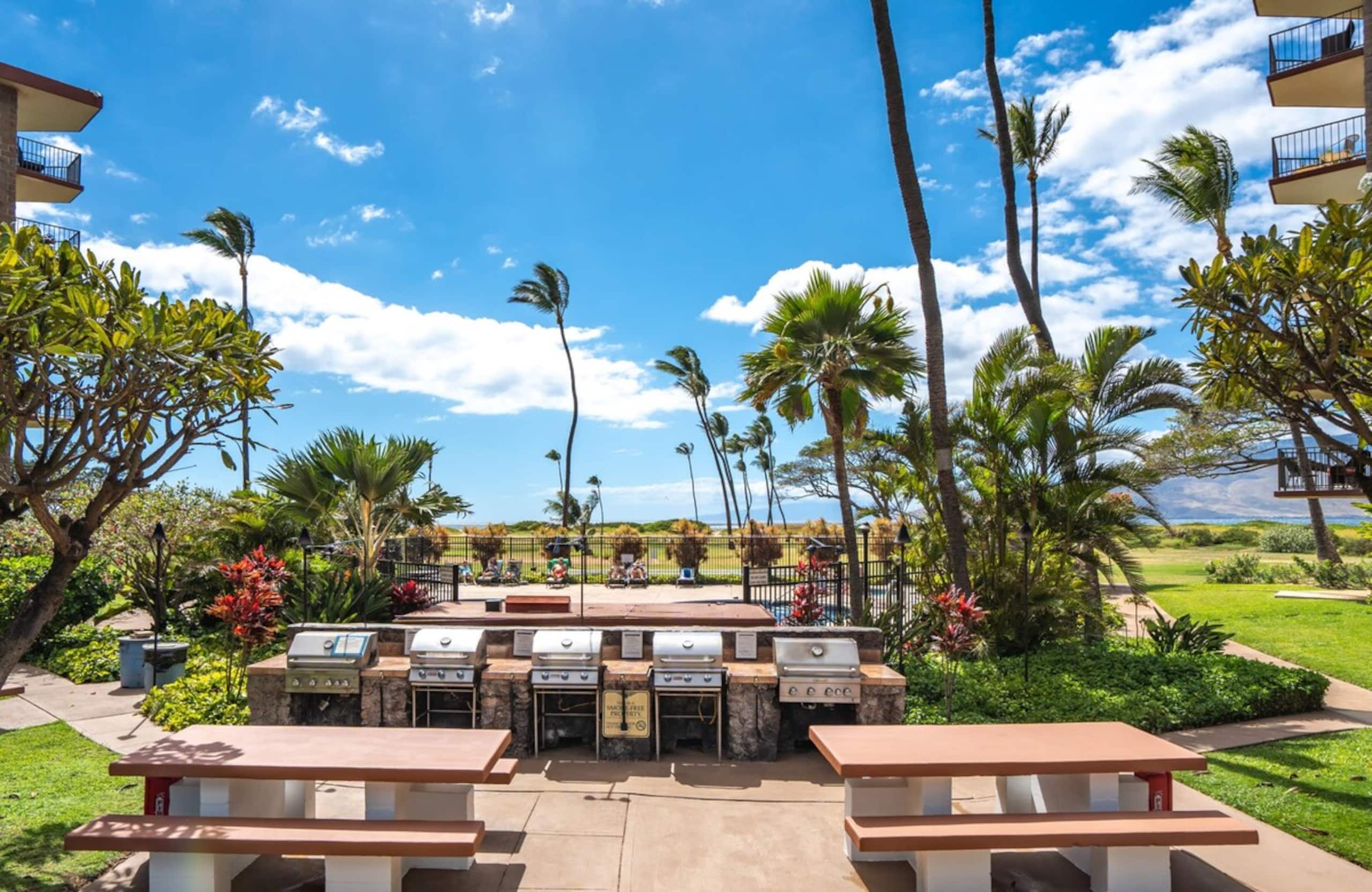 Oceanfront Kihei Paradise Vistas - Photo 30