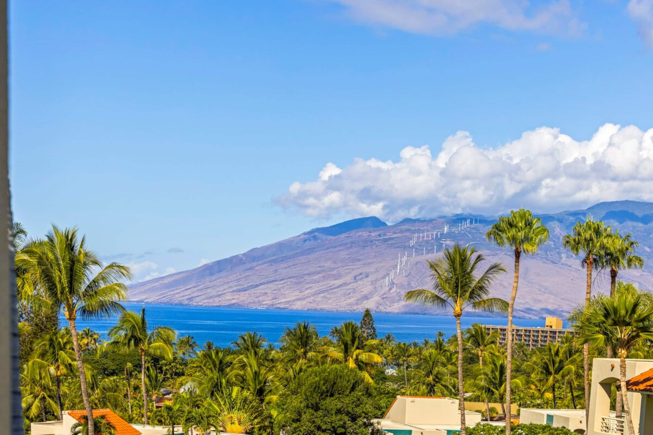 Spring on Maui Best views in Wailea at the Palms - Photo 32