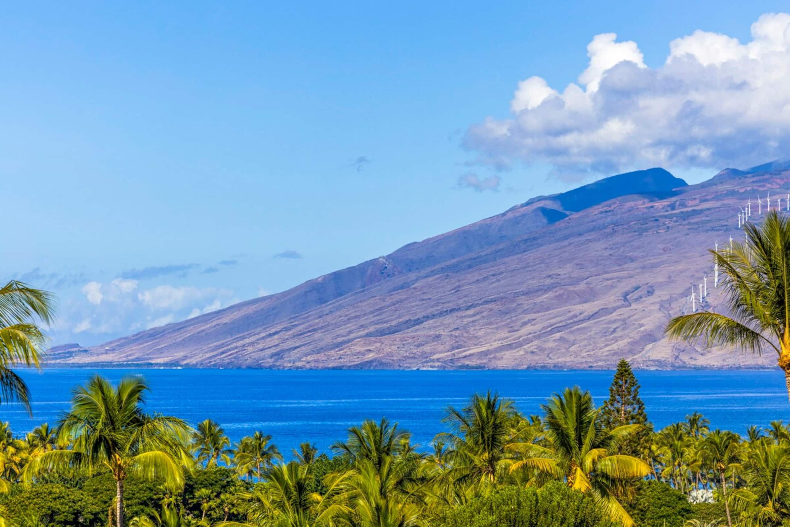Spring on Maui Best views in Wailea at the Palms - Photo 33