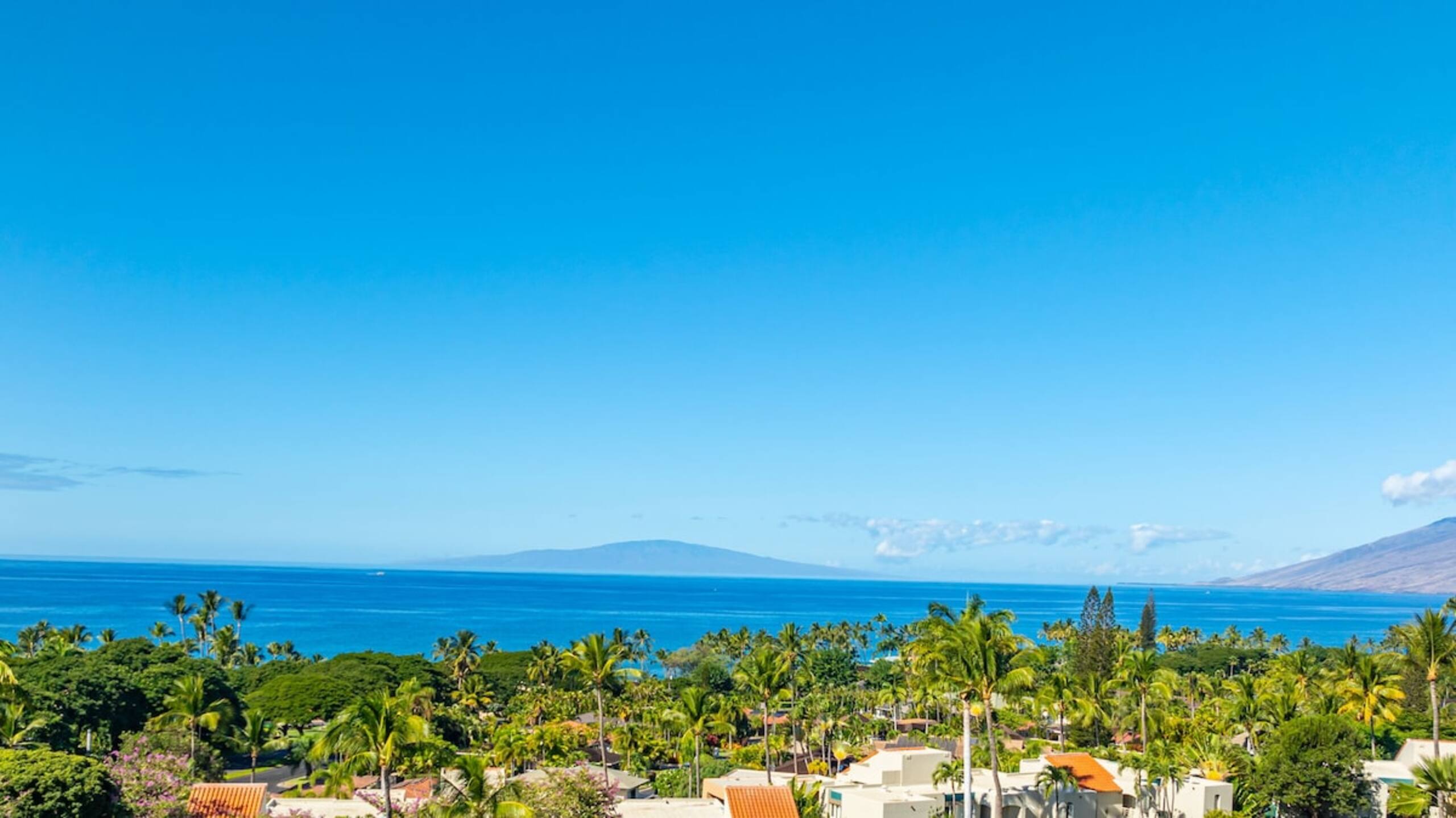 Spring on Maui Best views in Wailea at the Palms - Photo 3