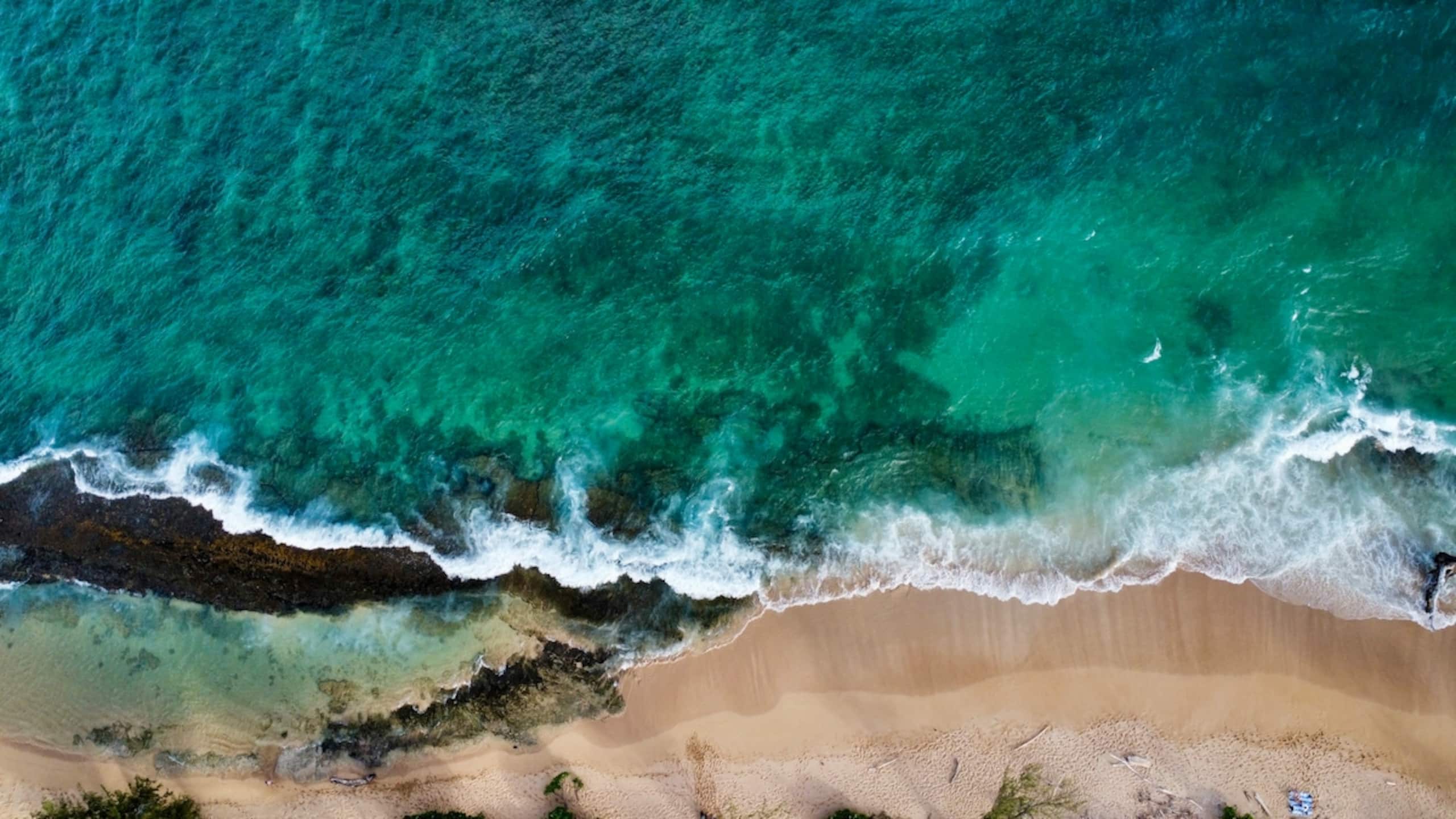 Hula Hideaway, Kaua'i - Photo 22