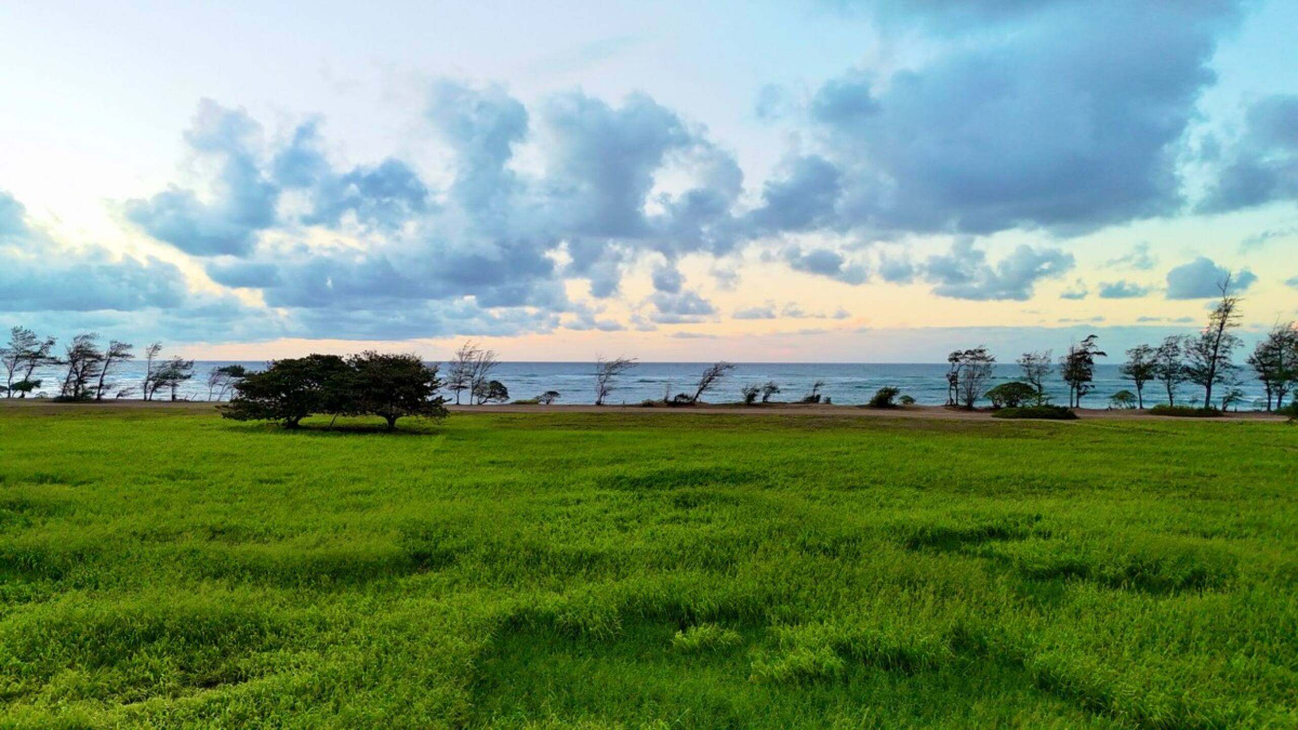 Hula Hideaway, Kaua'i - Photo 21