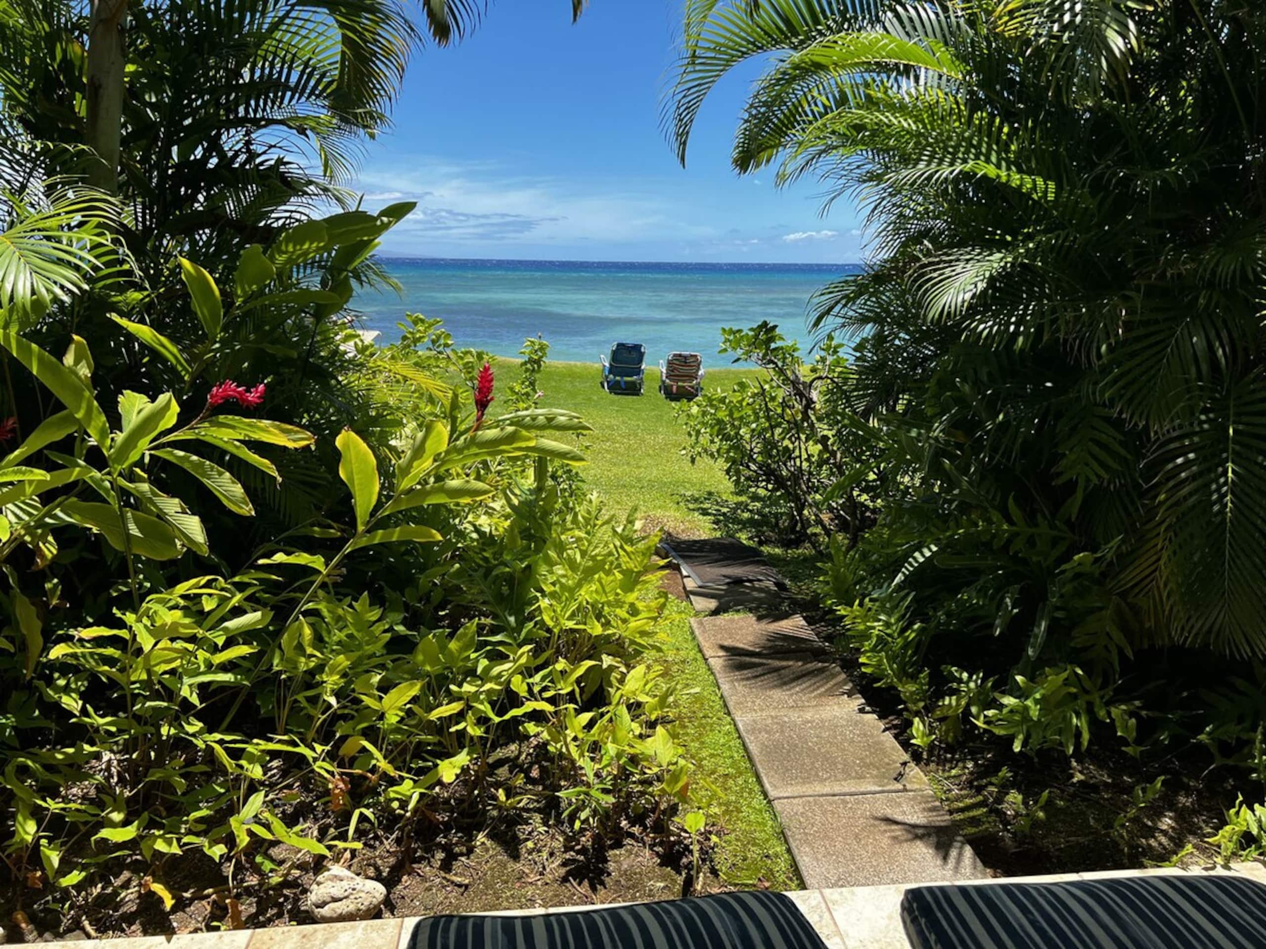 Spectacular Ocean Views Just Steps from the Beach - Photo 19