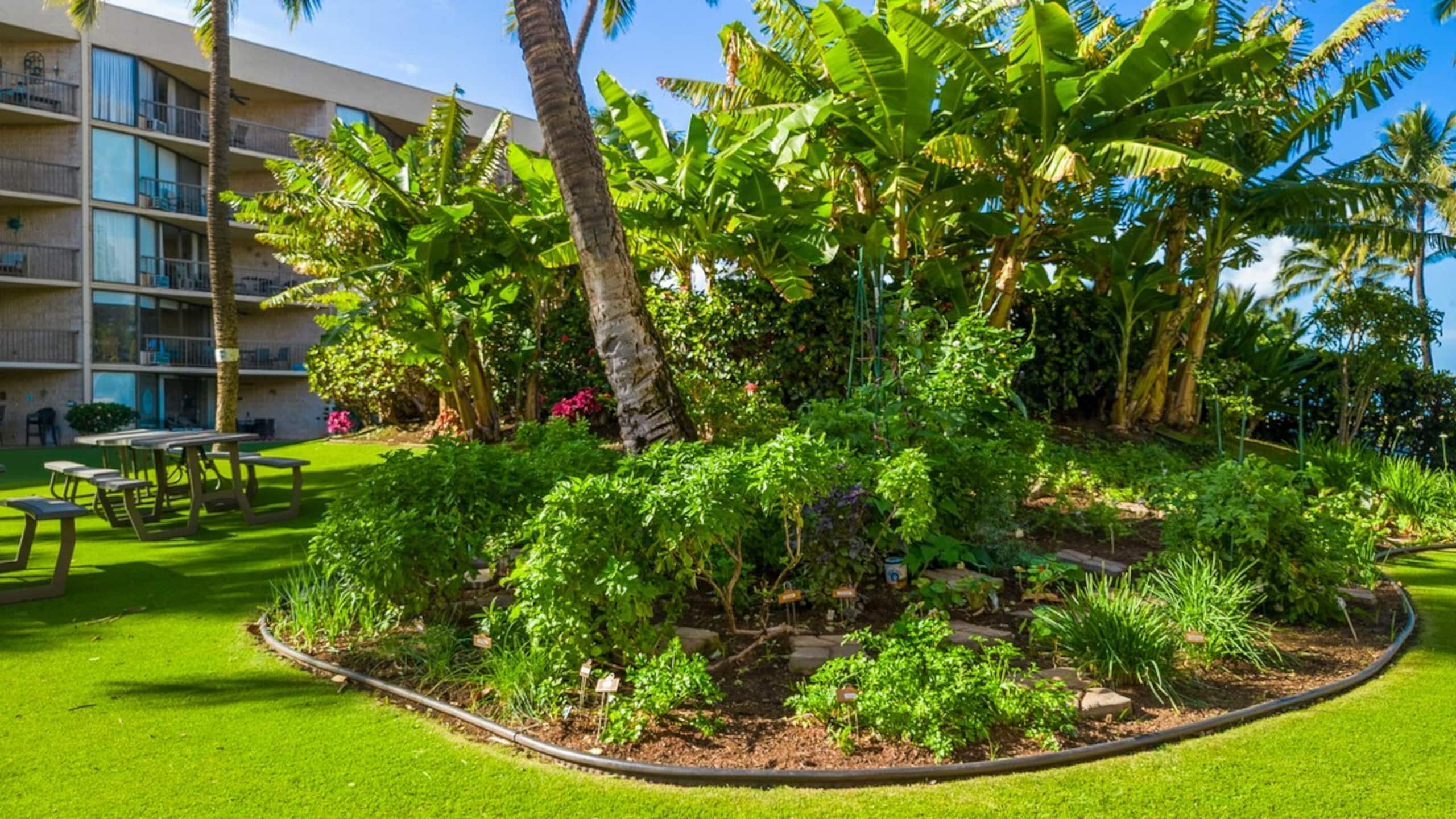 Maui Sunset Vacation Rentals A-212 - Photo 30